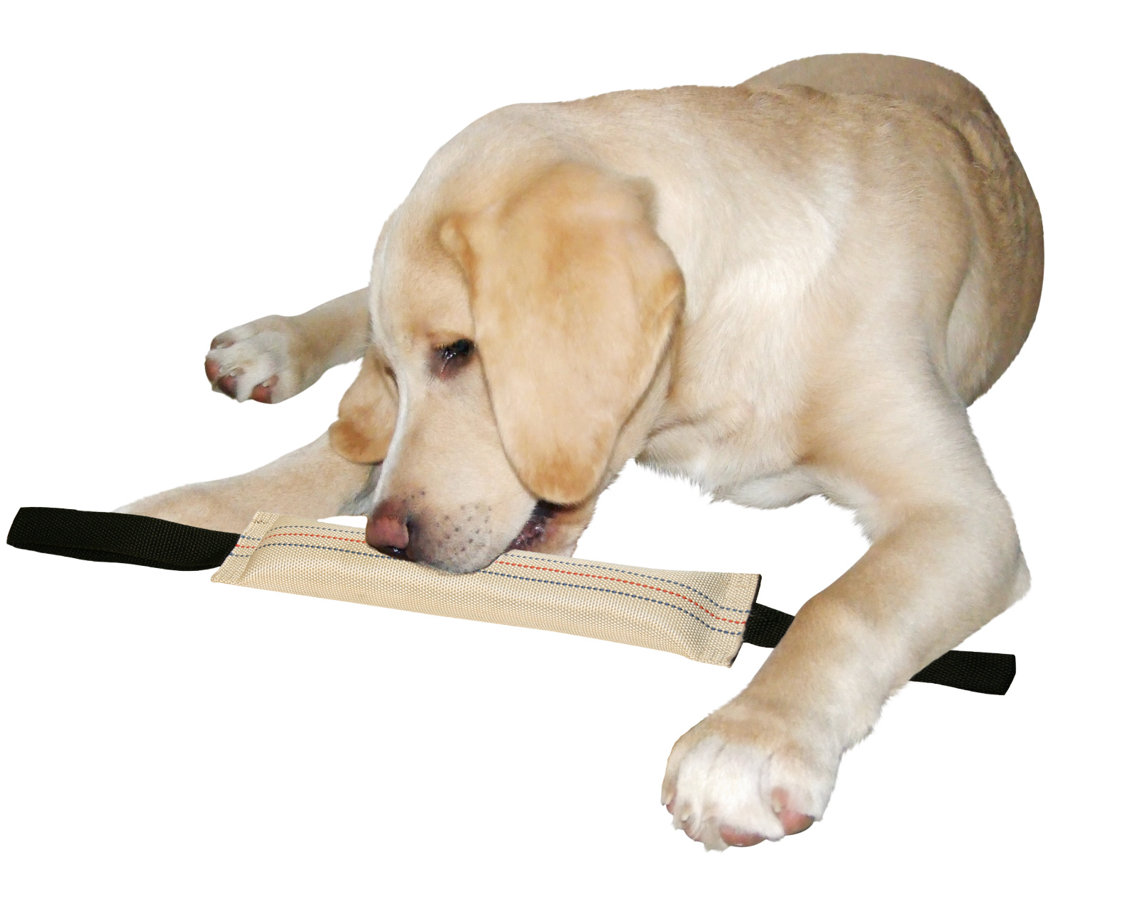 Kerbl Pet Training Dummy riporto cane tela galleggiante