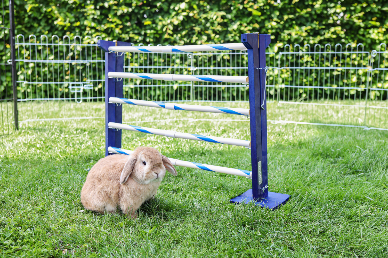 Kerbl Pet Combo Jump agility legno per roditori 10 barriere
