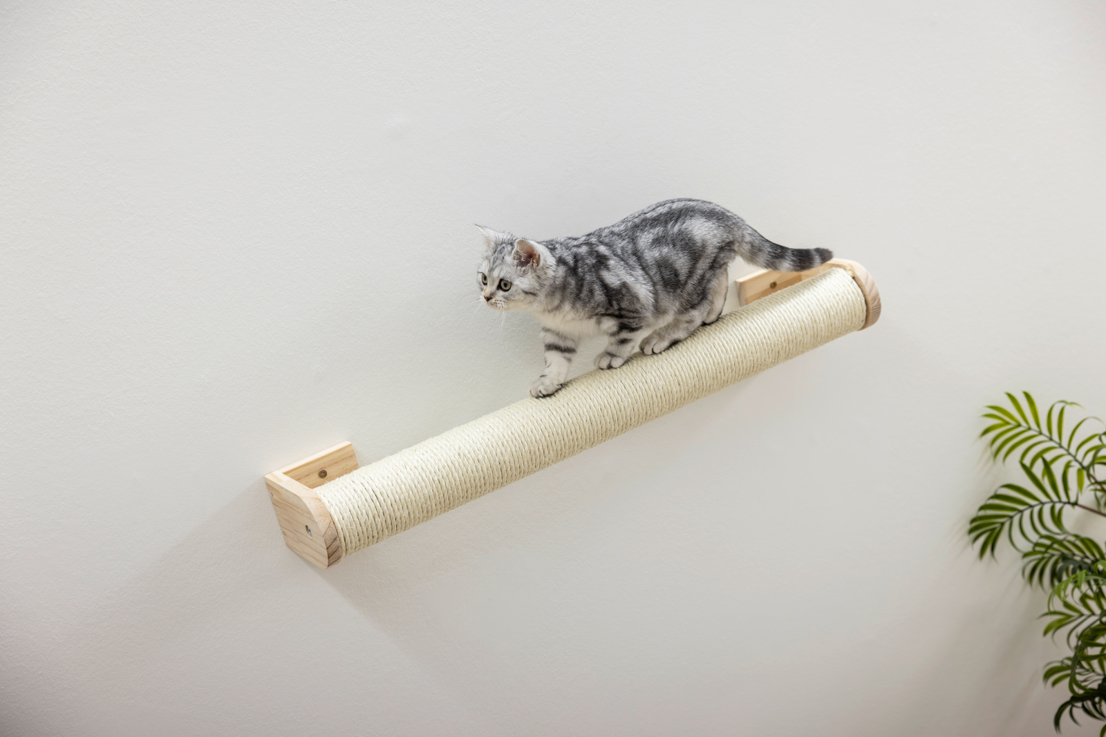 Kerbl Pet Scratching Post tiragraffi muro sisal gatto