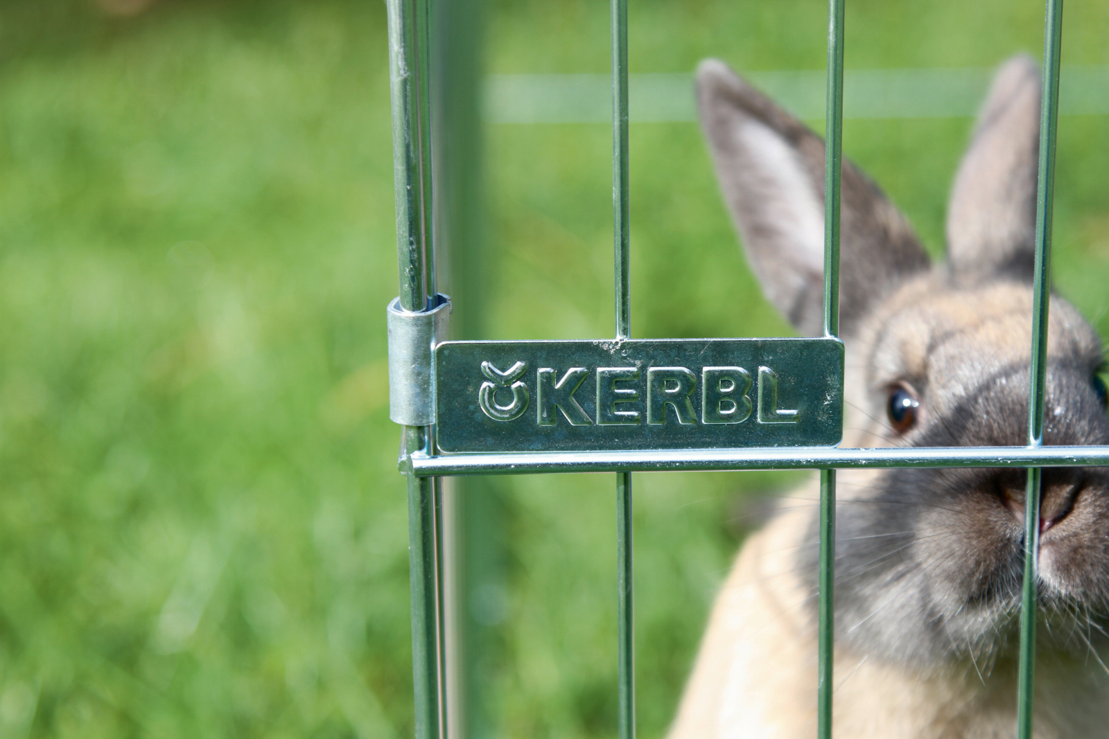 Kerbl Pet Outdoor Pen Easy recinto esterno conigli zincato 2 porte