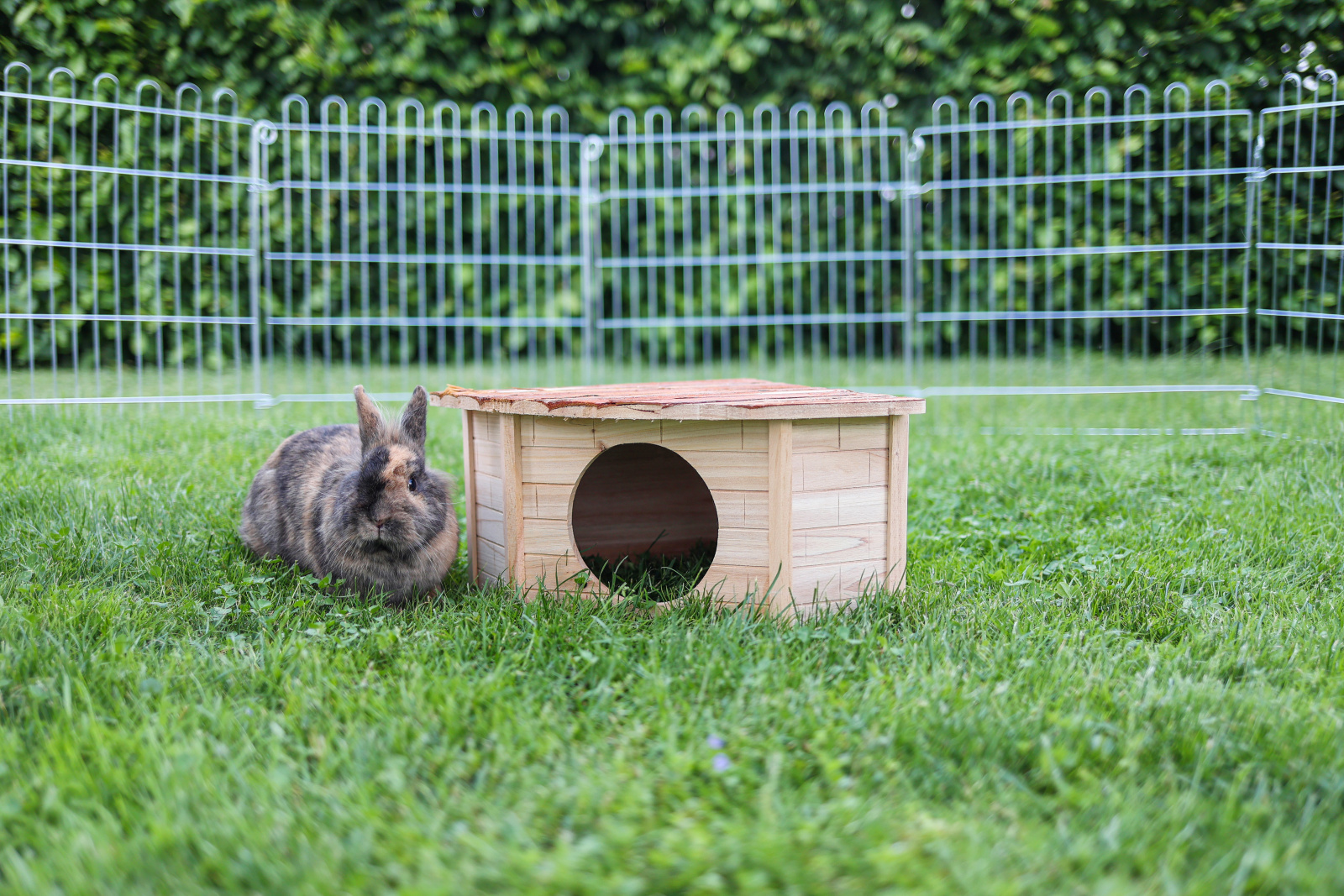 Kerbl Pet Corner House casetta roditori legno