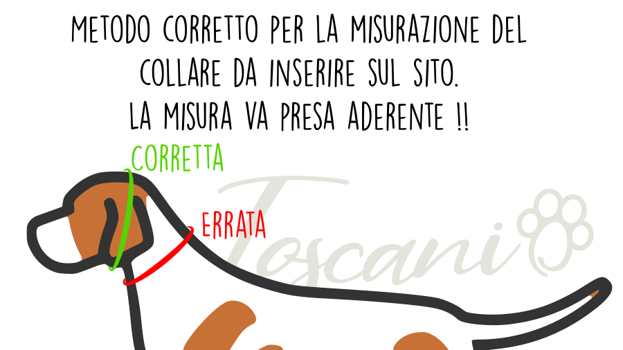 Toscani Cuoio Collare Caccia Riconoscimento Cuoio 6 mm
