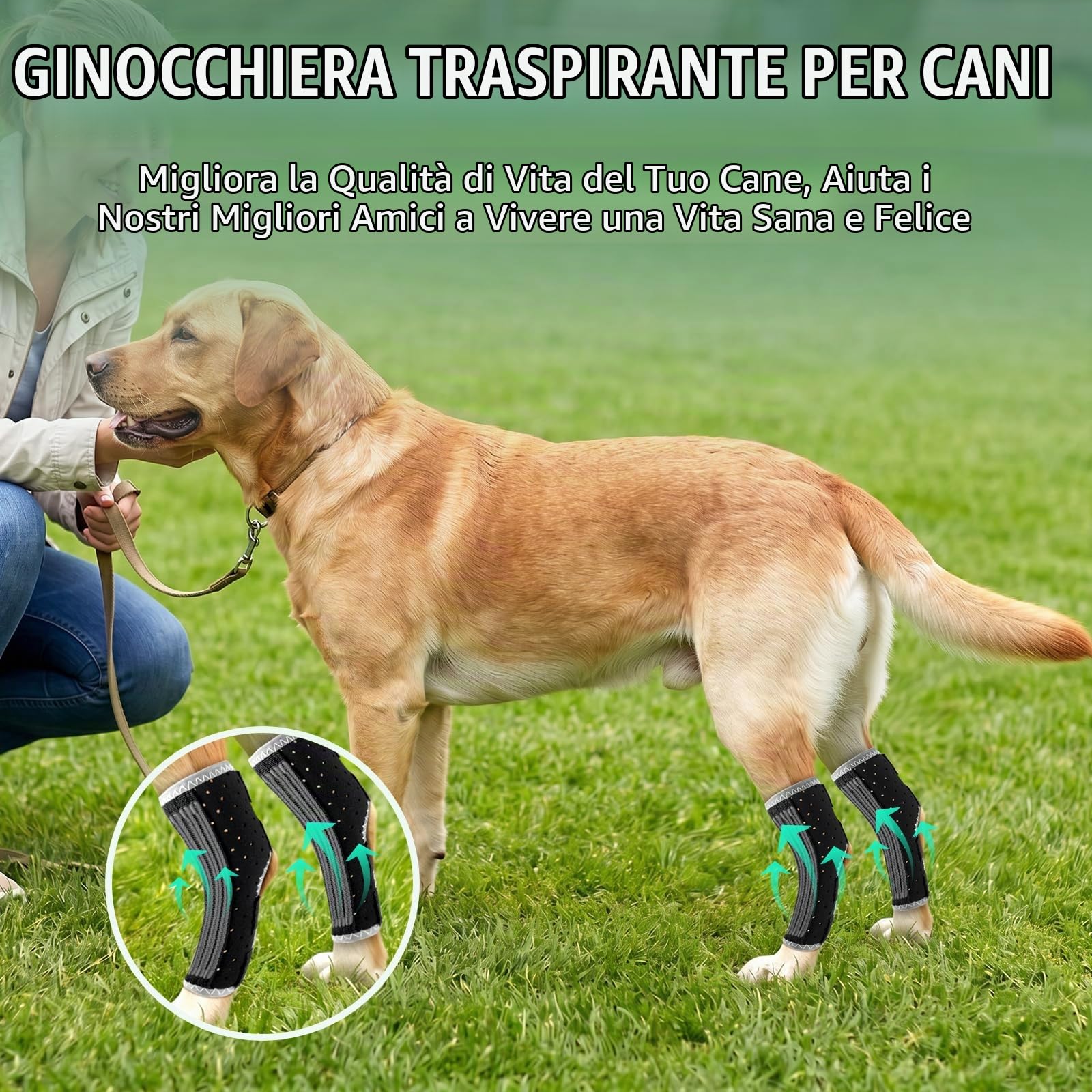Ohcozzy Ginocchiere per Cani tutore ginocchio S 2 pezzi