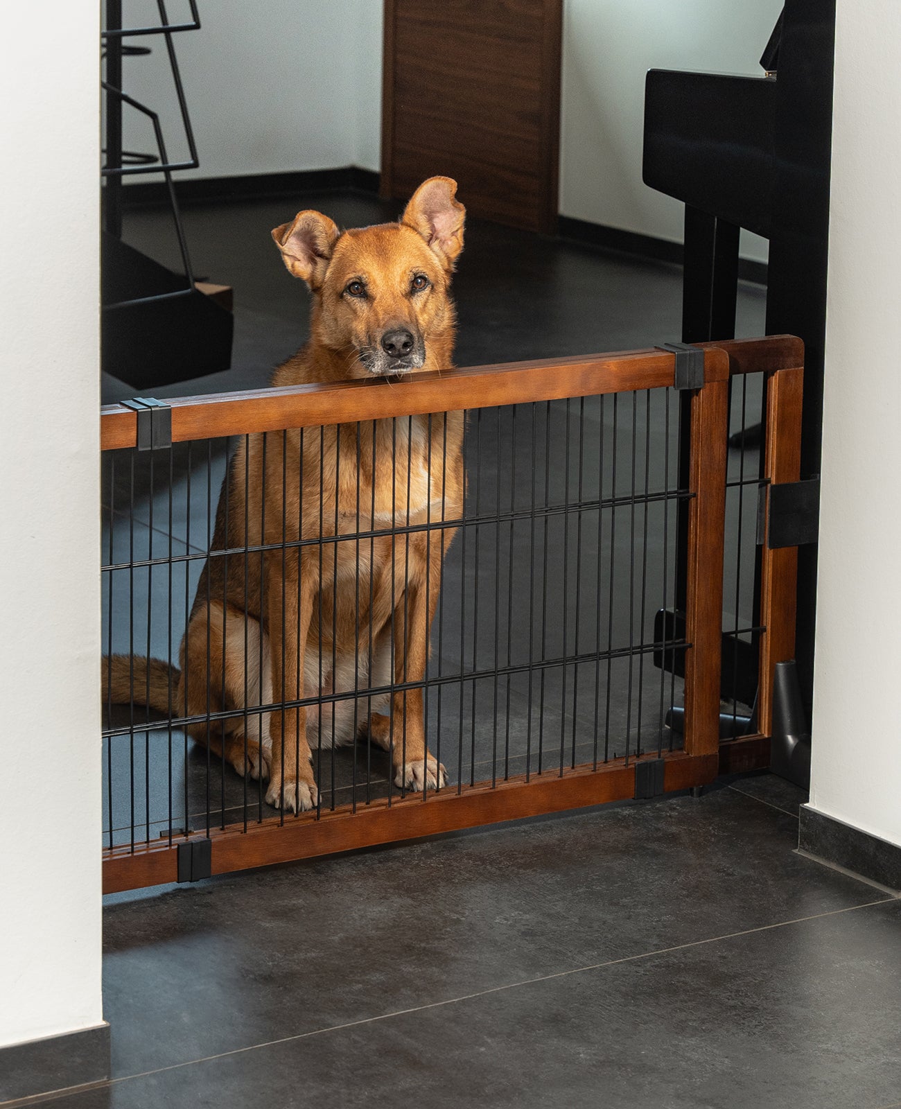 Lionto Welpenschutzgitter cancello per cani 71 cm estensibile