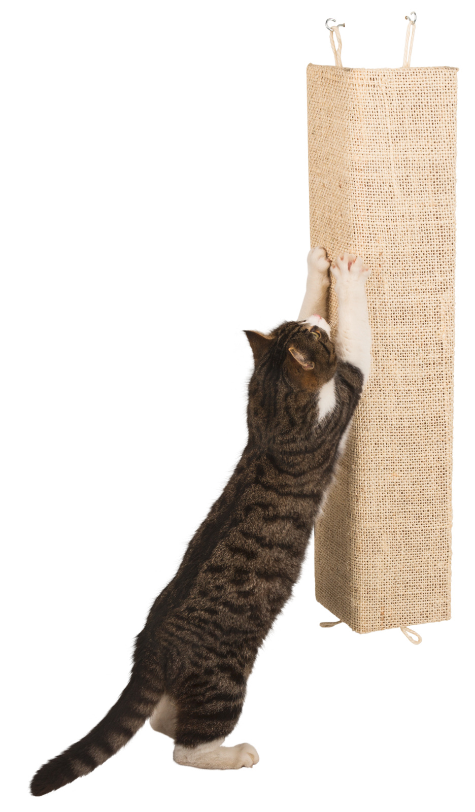 Kerbl Pet Kevin tavoletta tiragraffi gatto sisal angolo