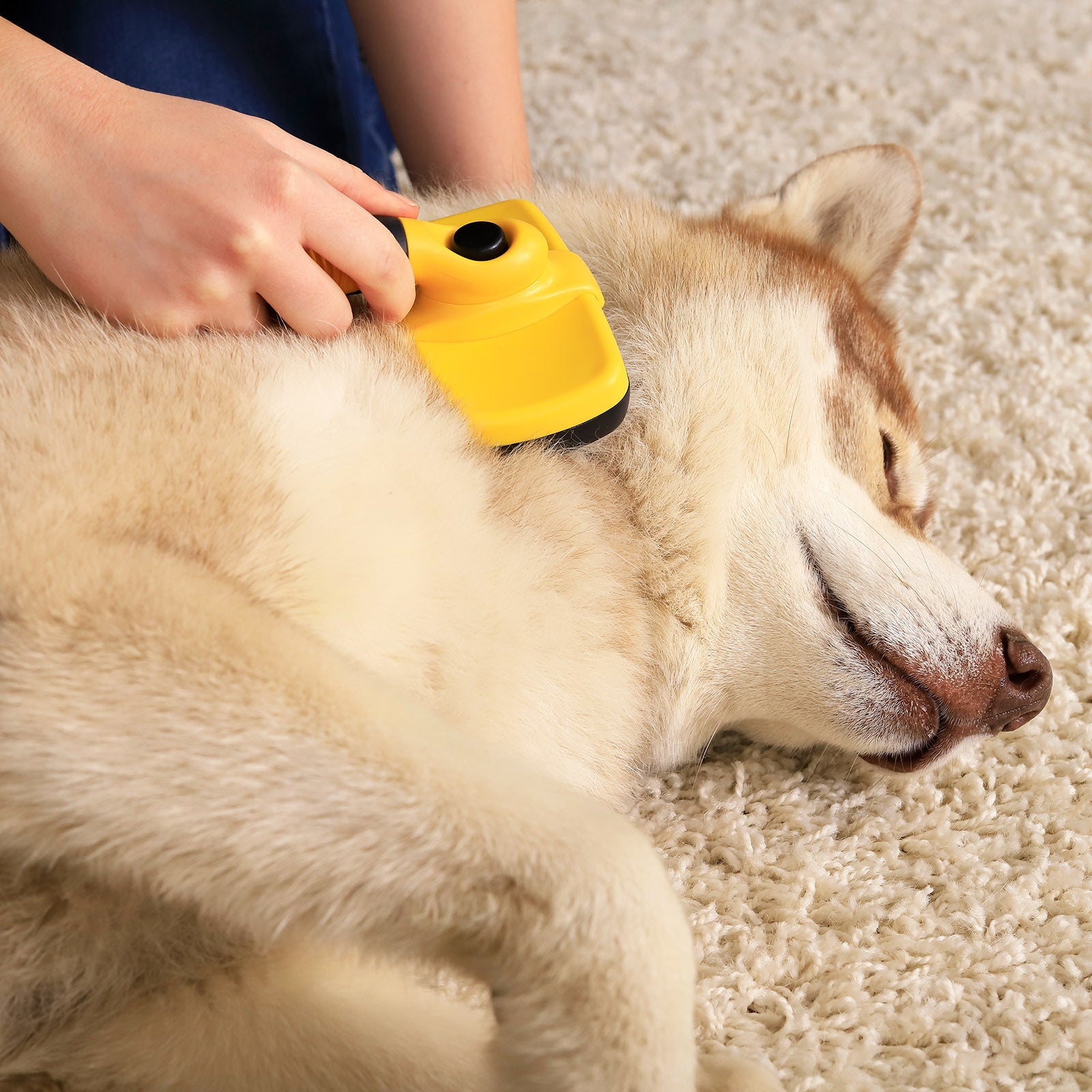Lionto Spazzola Autopulente 18 cm Toelettatura Cani Gatti