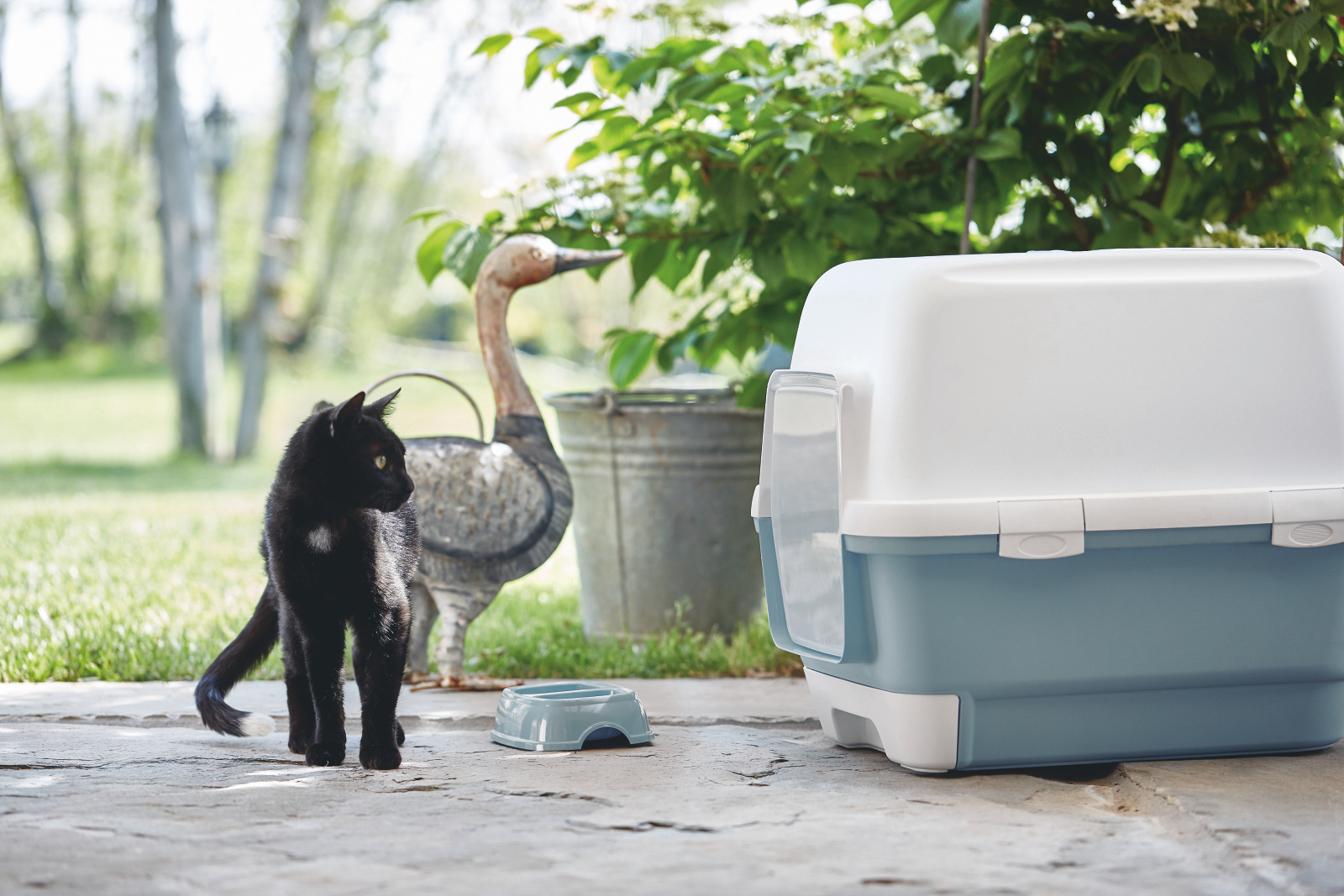 Kerbl Pet Cathy Clever & Smart lettiera gatto chiusa con filtro