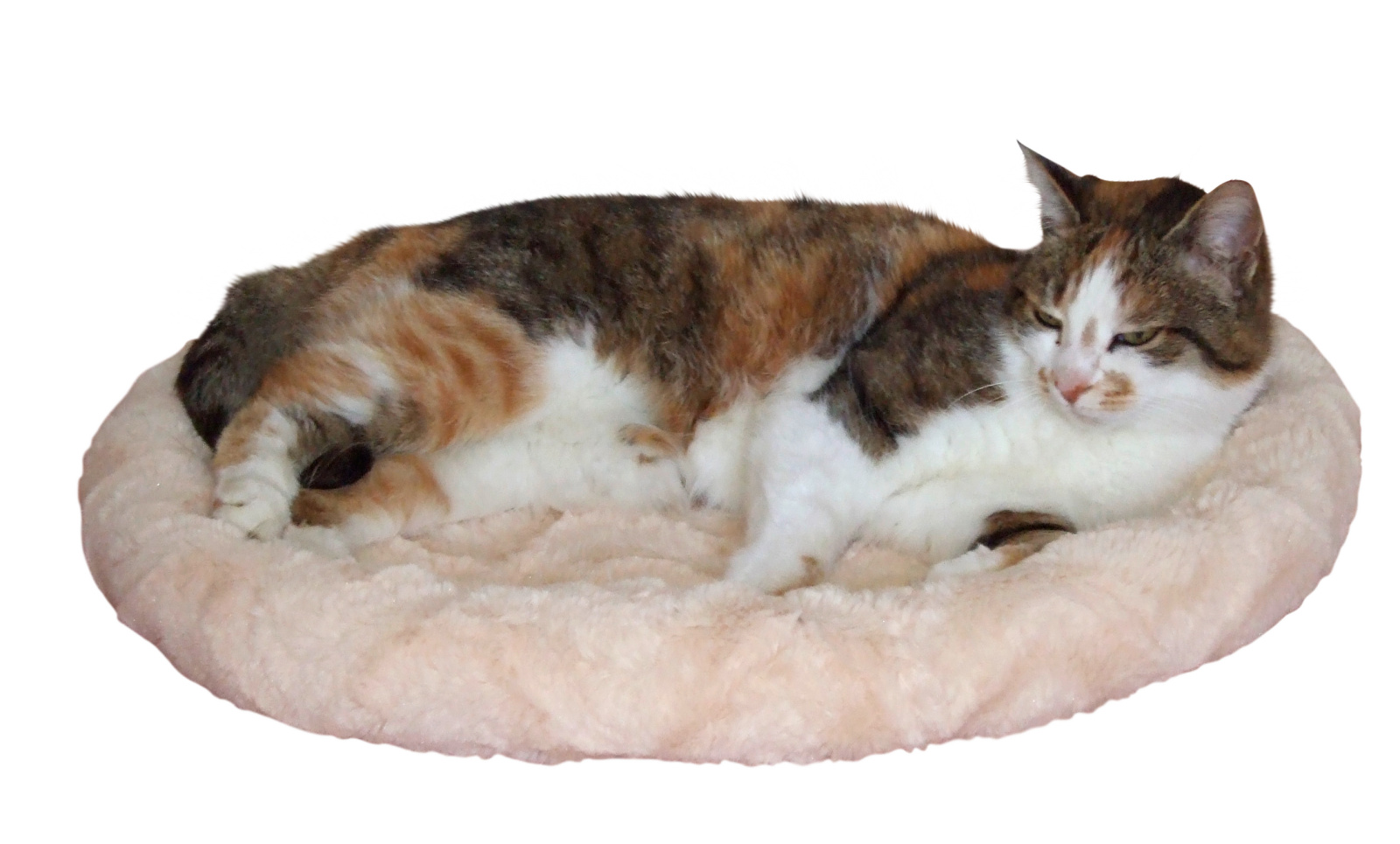 Kerbl Snugly Bed cuccia cane reversibile lavabile 30°C
