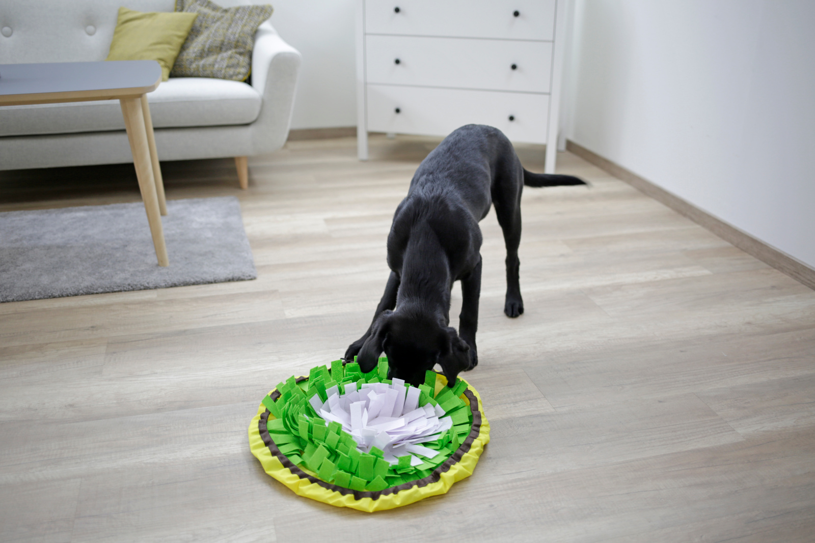 Kerbl Pet Dog Toy Sniff Rug Bowl tappeto olfattivo cani anti-ingozzamento