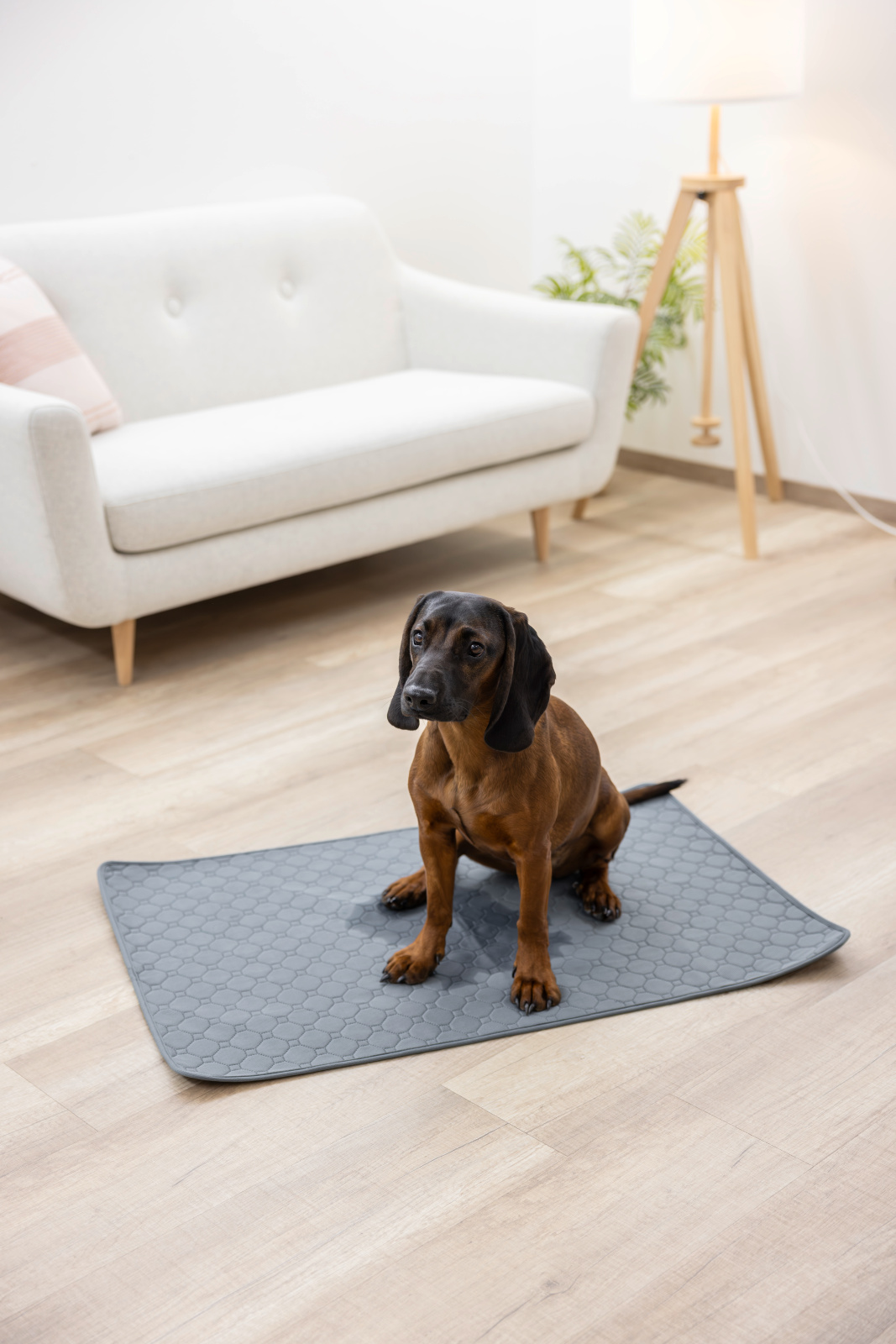 Kerbl Pet tappetino cane assorbente lavabile antiscivolo riutilizzabile