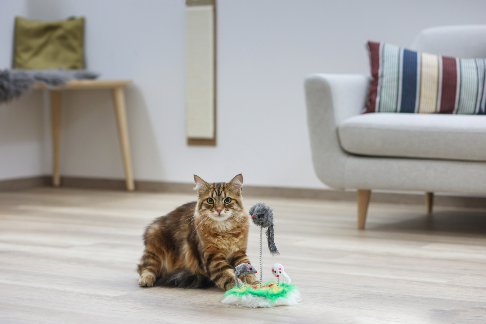 Kerbl Pet Mouse Swing topo giocattolo gatto da inseguire