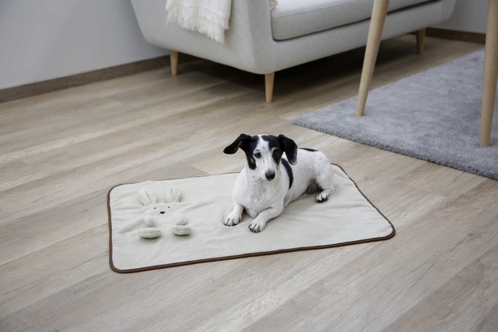 Kerbl Pet Puppy Blanket coperta pile per cani e cuccioli