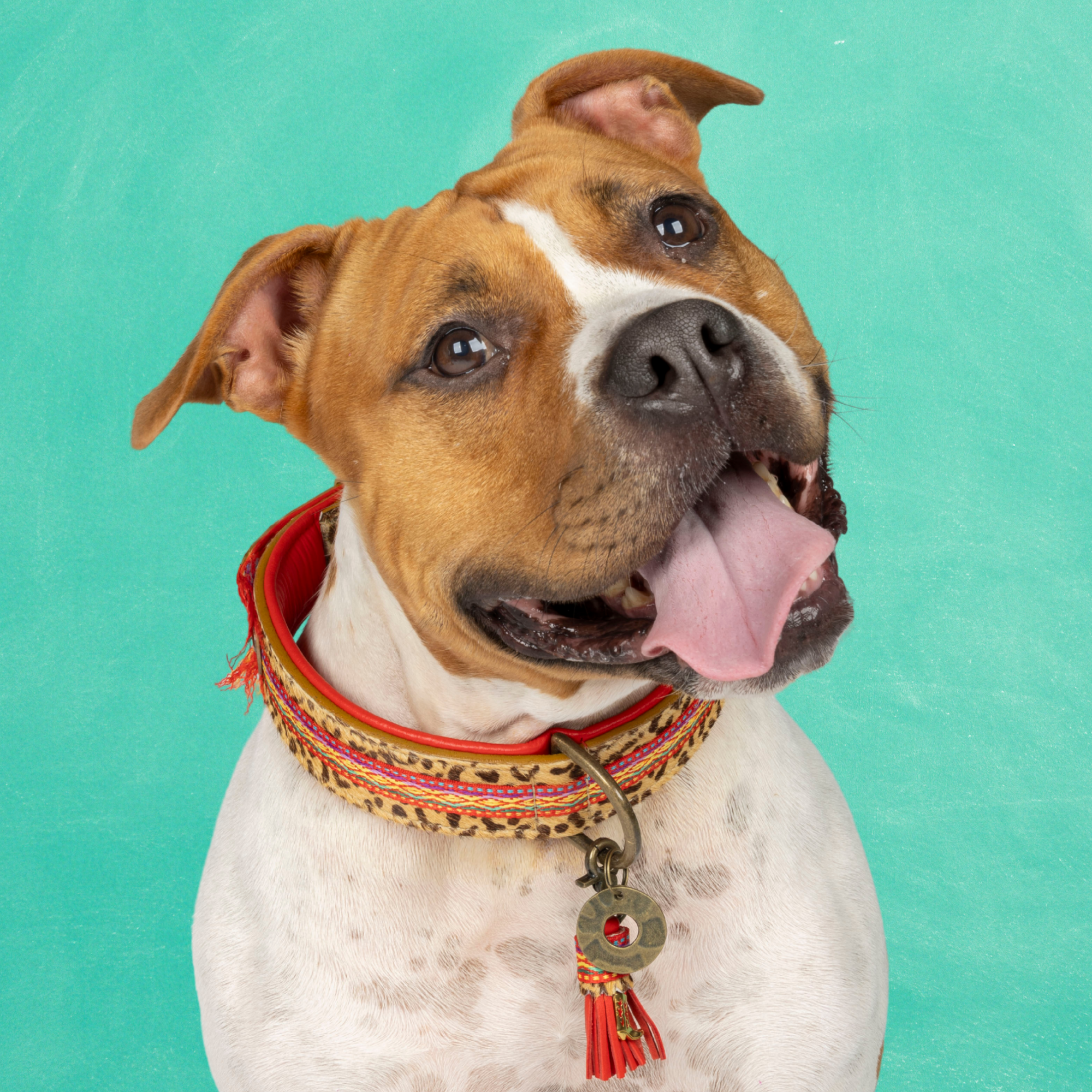 Dog with a Mission Gypsy collare cane XL rosso 48-57 cm