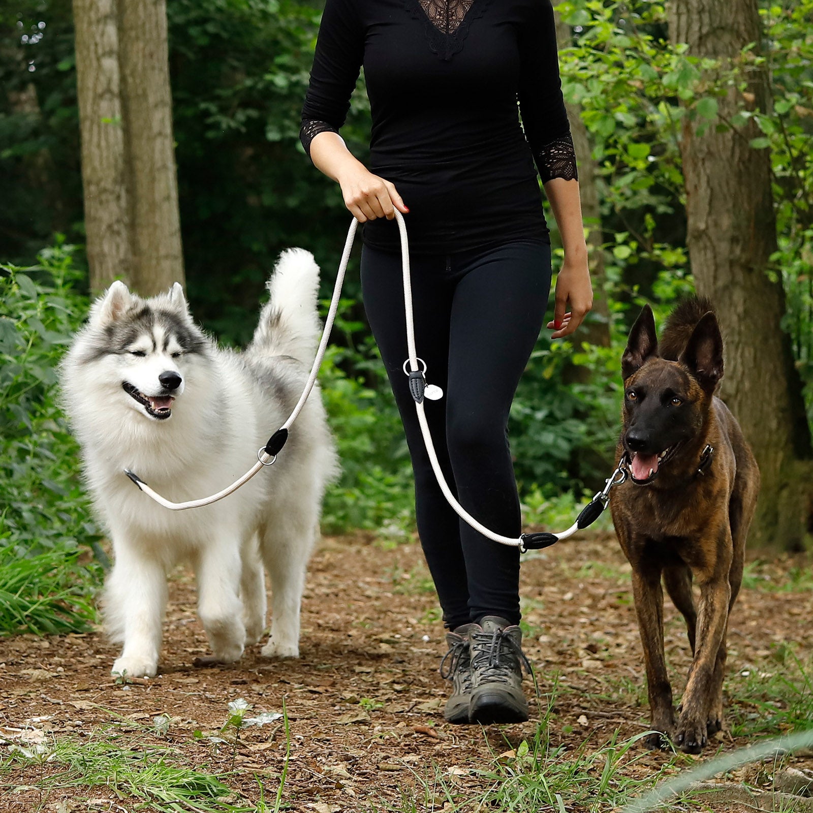 Lionto Hunde-Spaziergang guinzaglio regolabile 200 cm nylon blu