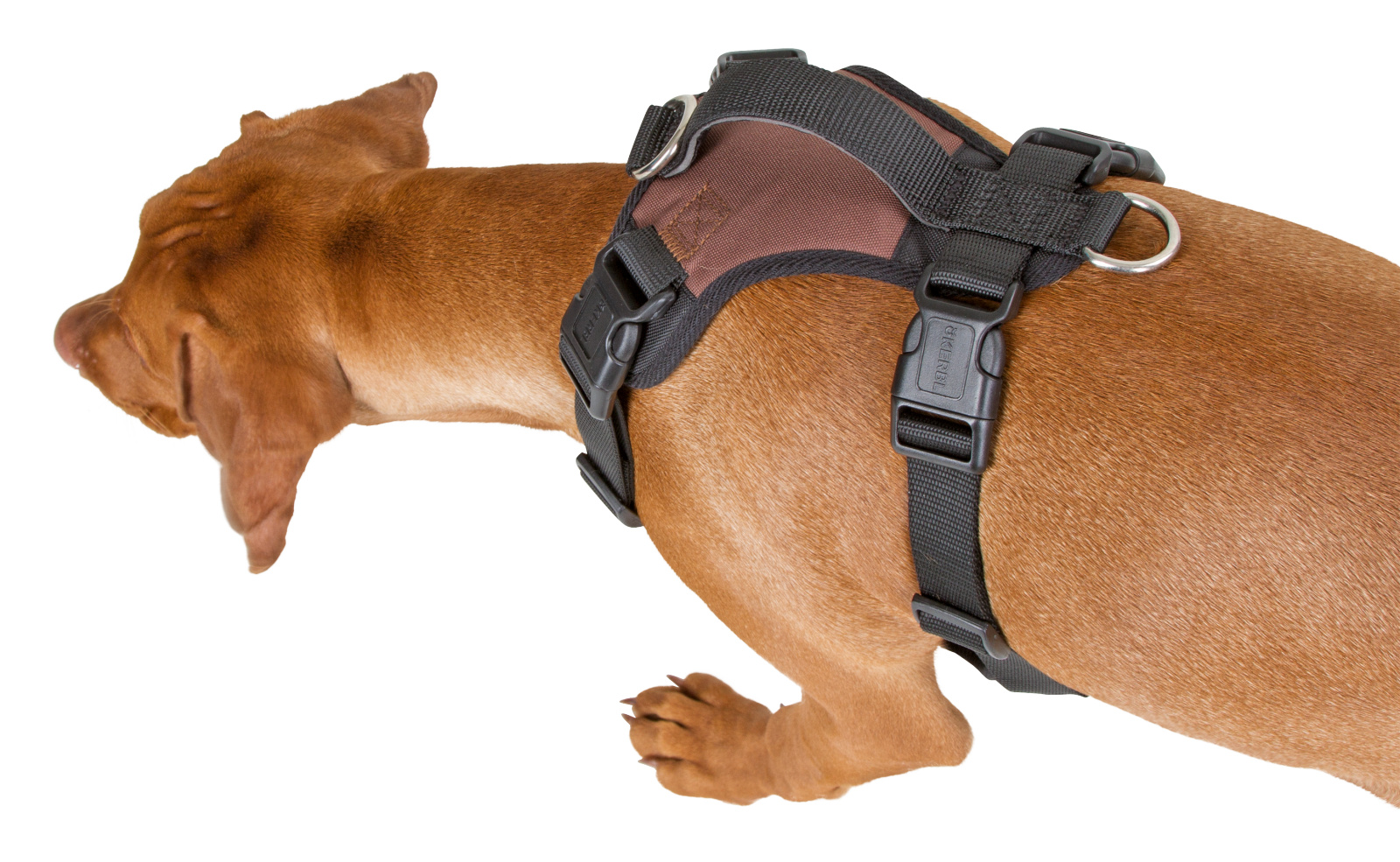 Kerbl Pet Pulsive Pettorina Regolabile Mesh per Cani