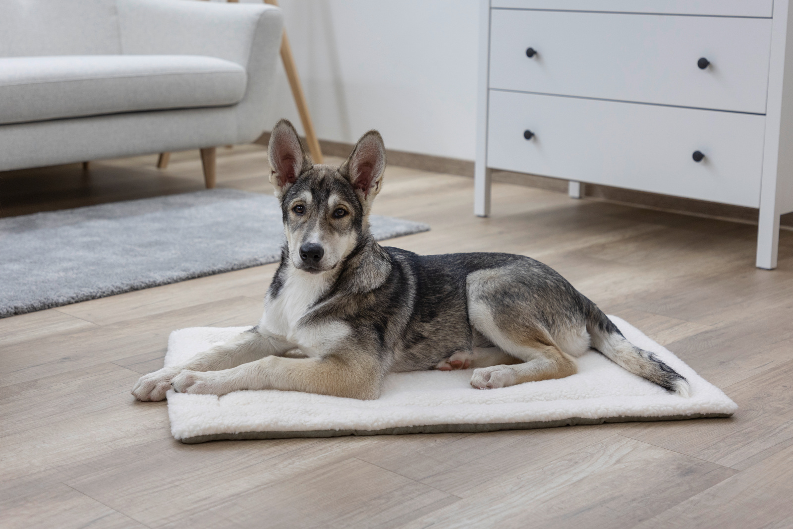 Kerbl Pet Cleo cuscino cane double-face lavabile