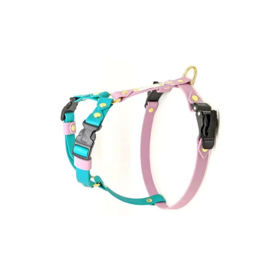 Toscani Waterproof Pettorina H Ultra Classic Regolabile per Cani