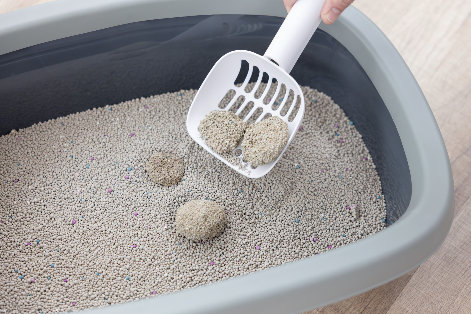 Kerbl Pet Cat Litter Lettiera Gatto Bentonite Agglomerante