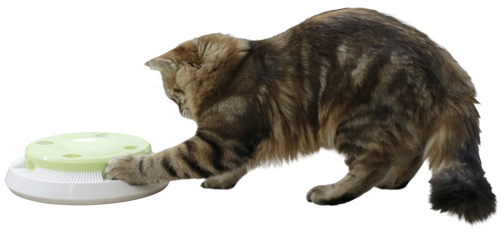 Kerbl Pet Pompom gioco gatto elettronico piuma rotante