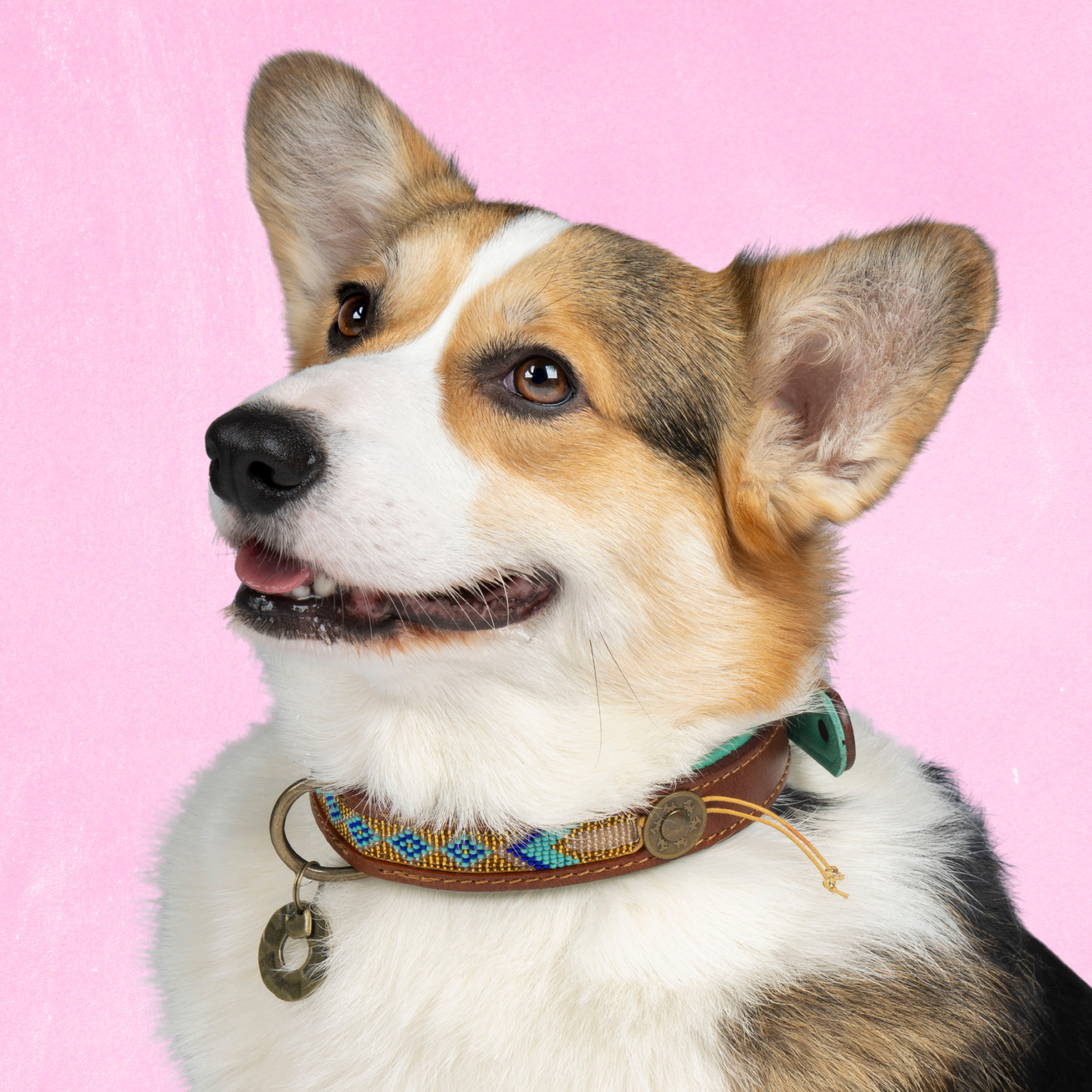 Dog with a Mission Beads Indi Moon Collare Perline Oro L