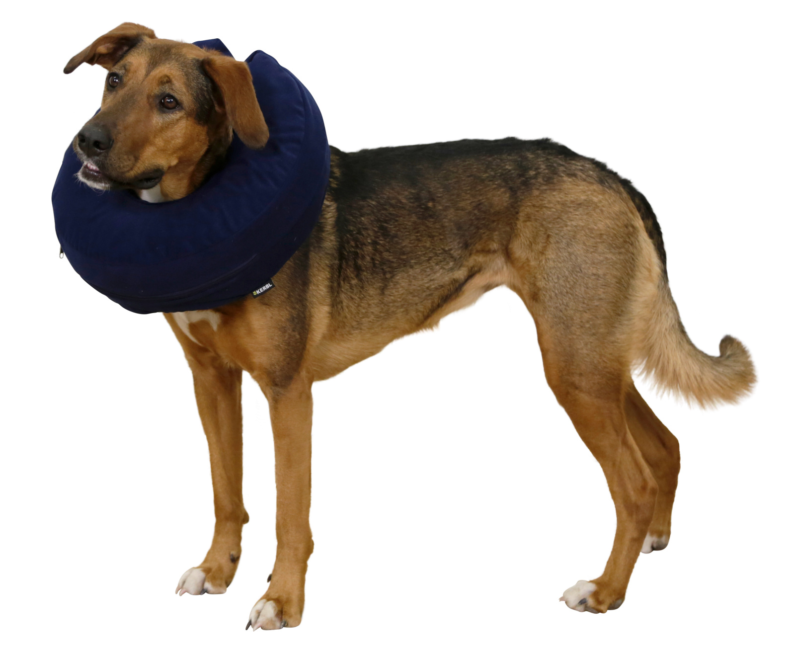 Kerbl Dog Care collare postoperatorio gonfiabile per cani
