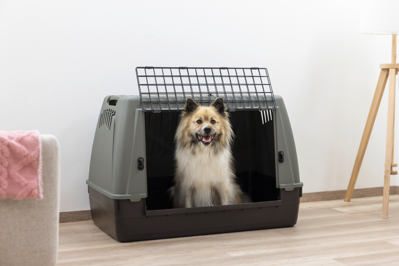 Kerbl Pet Bracco trasportino cane auto plastica riciclata