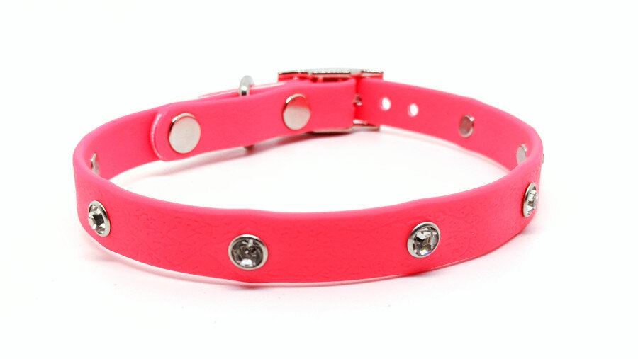 Toscani Waterproof collare Maestà cani taglia piccola con strass