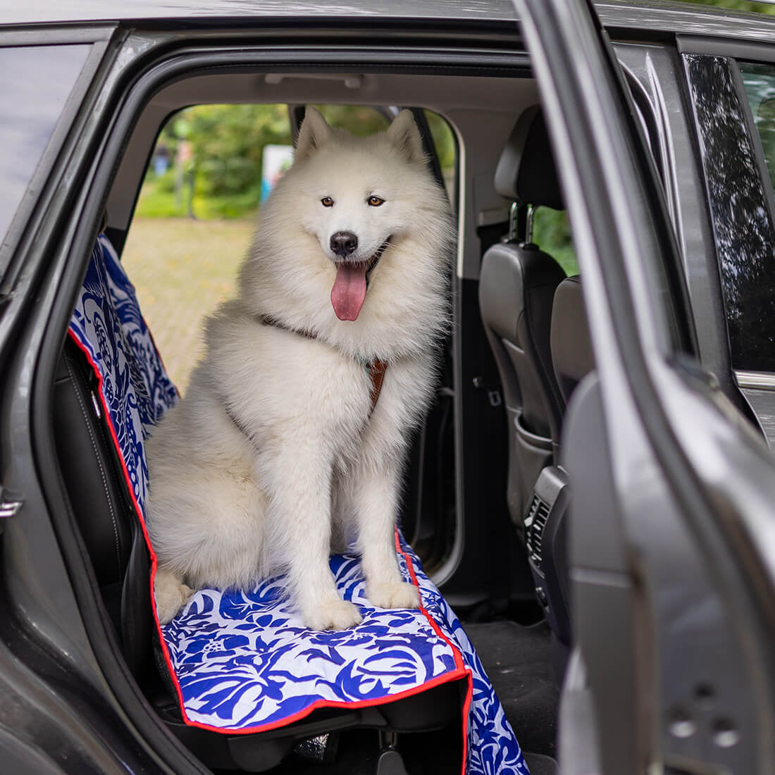 Dog with a Mission Dutchie telo auto cane 140x139 antiscivolo