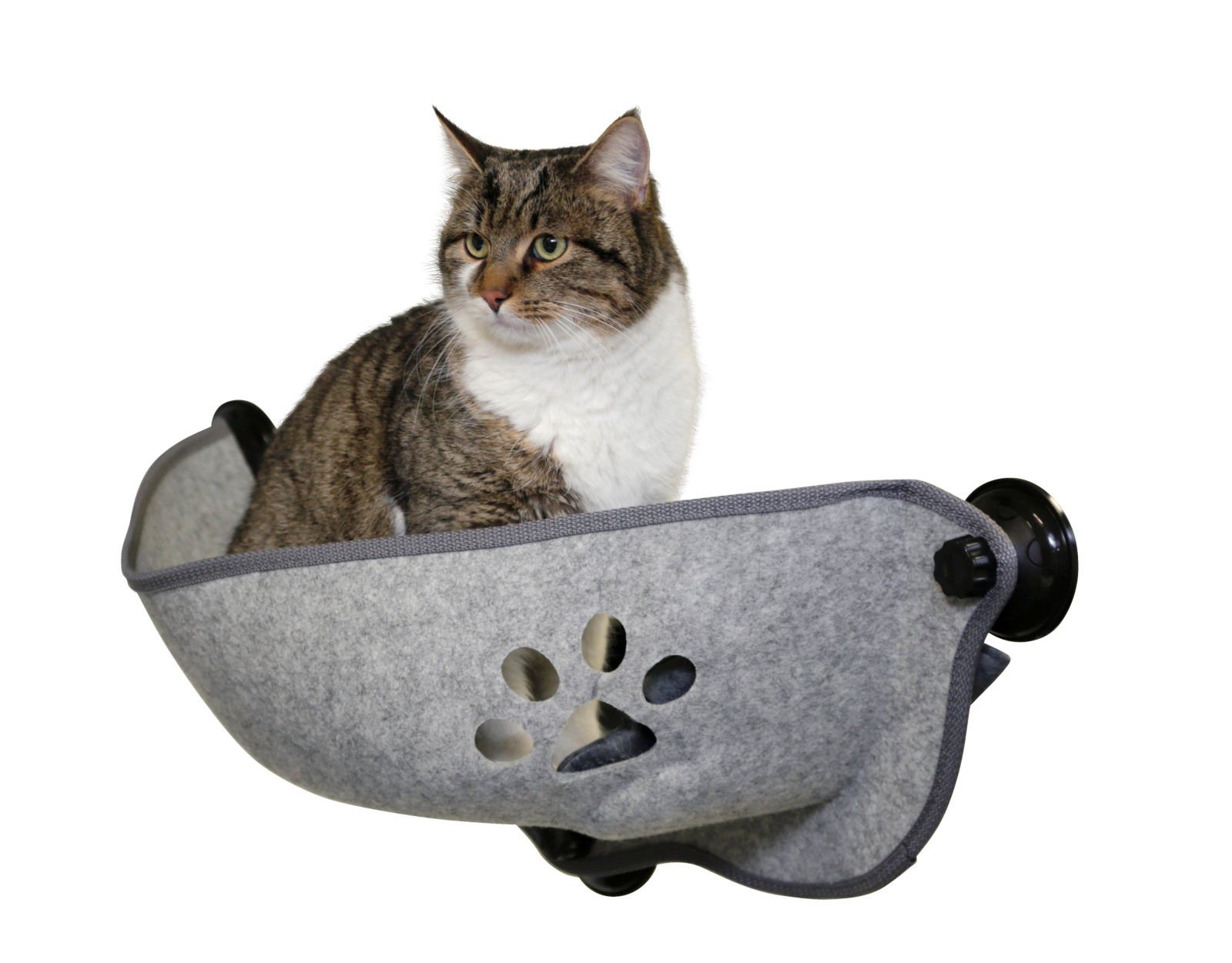 Kerbl Pet Filzino Lettino Gatto Finestra a Ventose Feltro