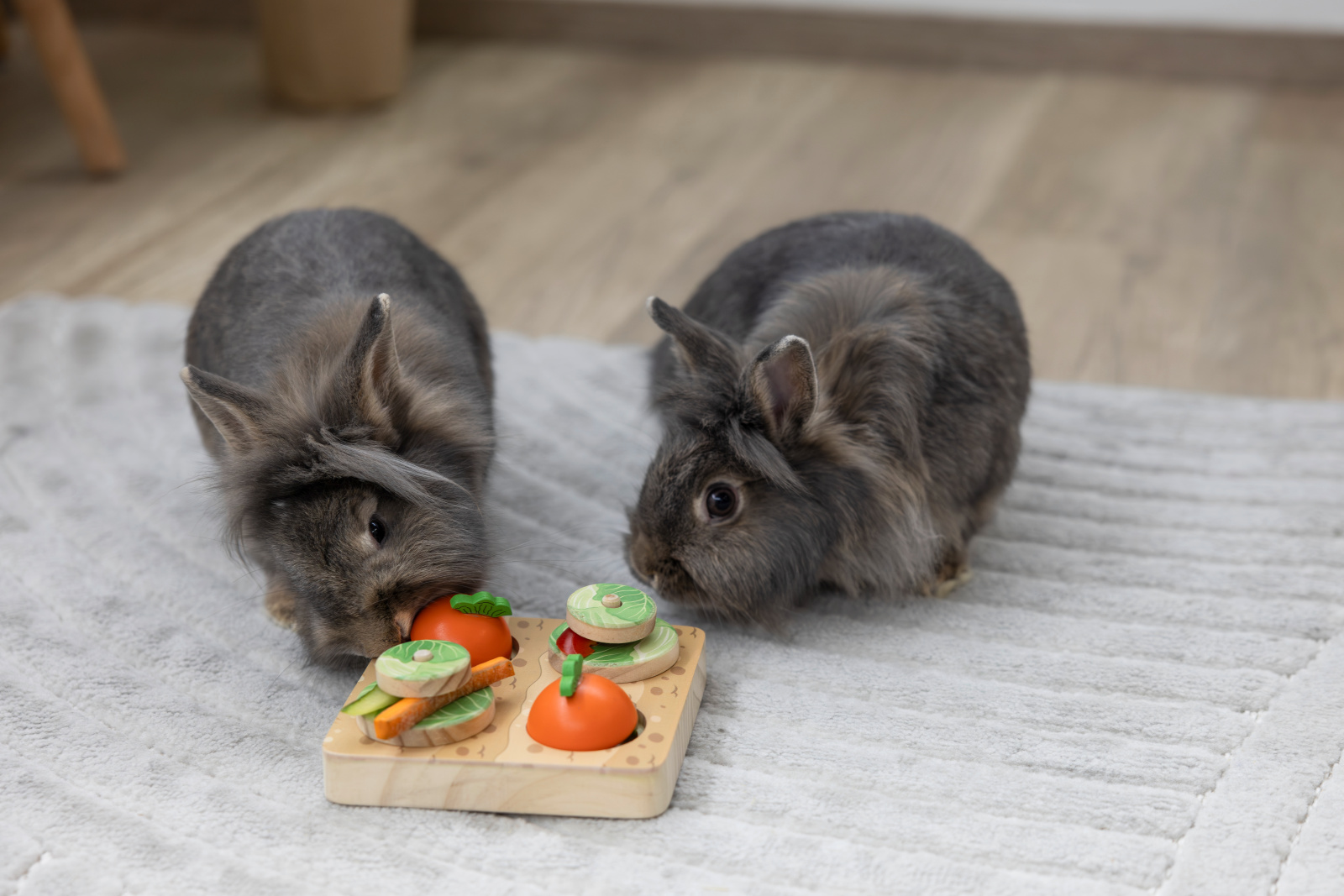 Kerbl Pet Veggie gioco intelligenza coniglio 2 livelli