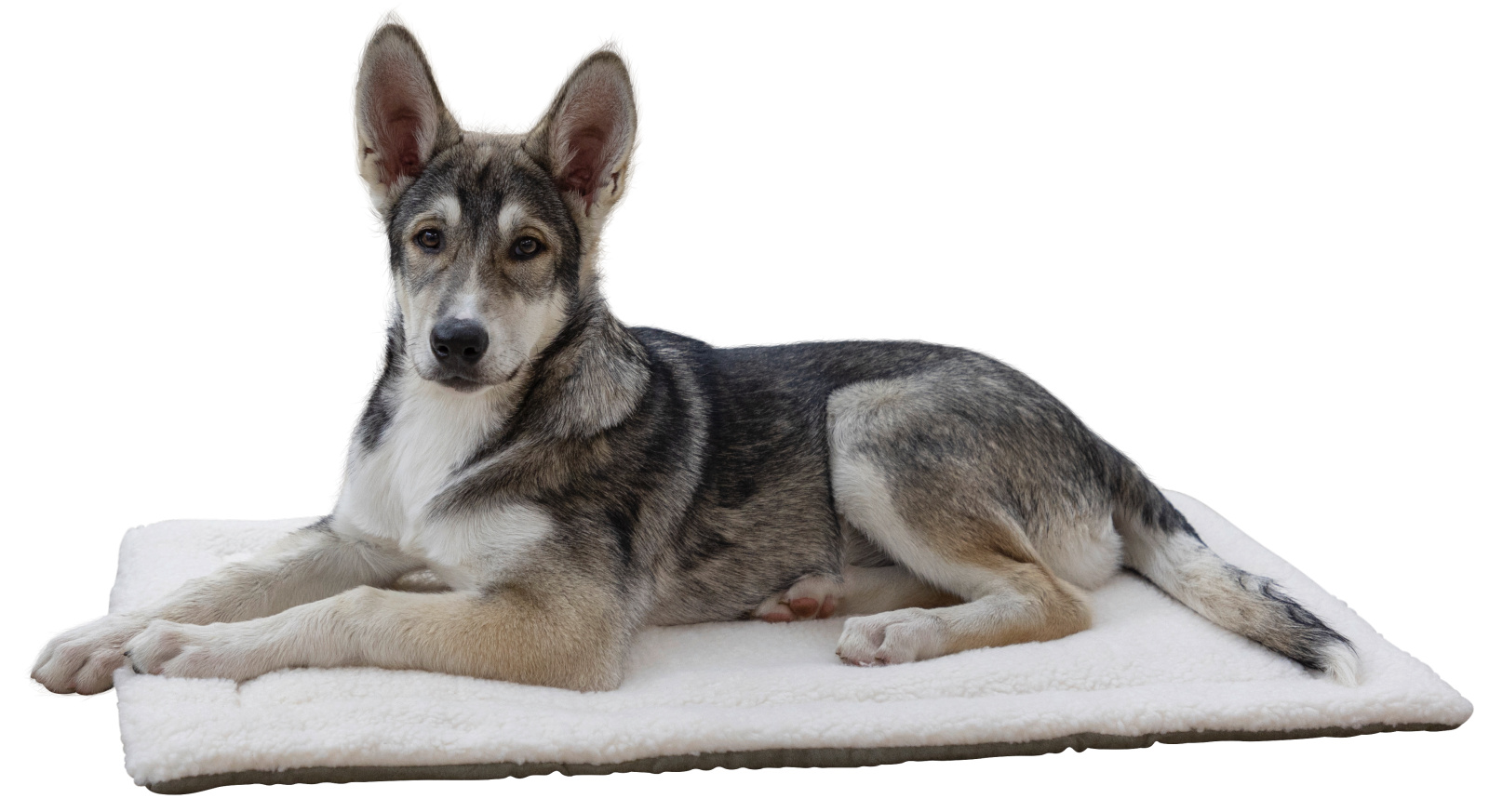 Kerbl Pet Cleo cuscino cane double-face lavabile