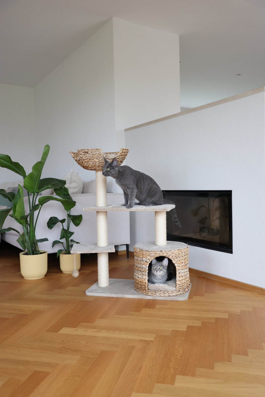 Kerbl Pet Jade albero tiragraffi gatto foglia banana con cuccia