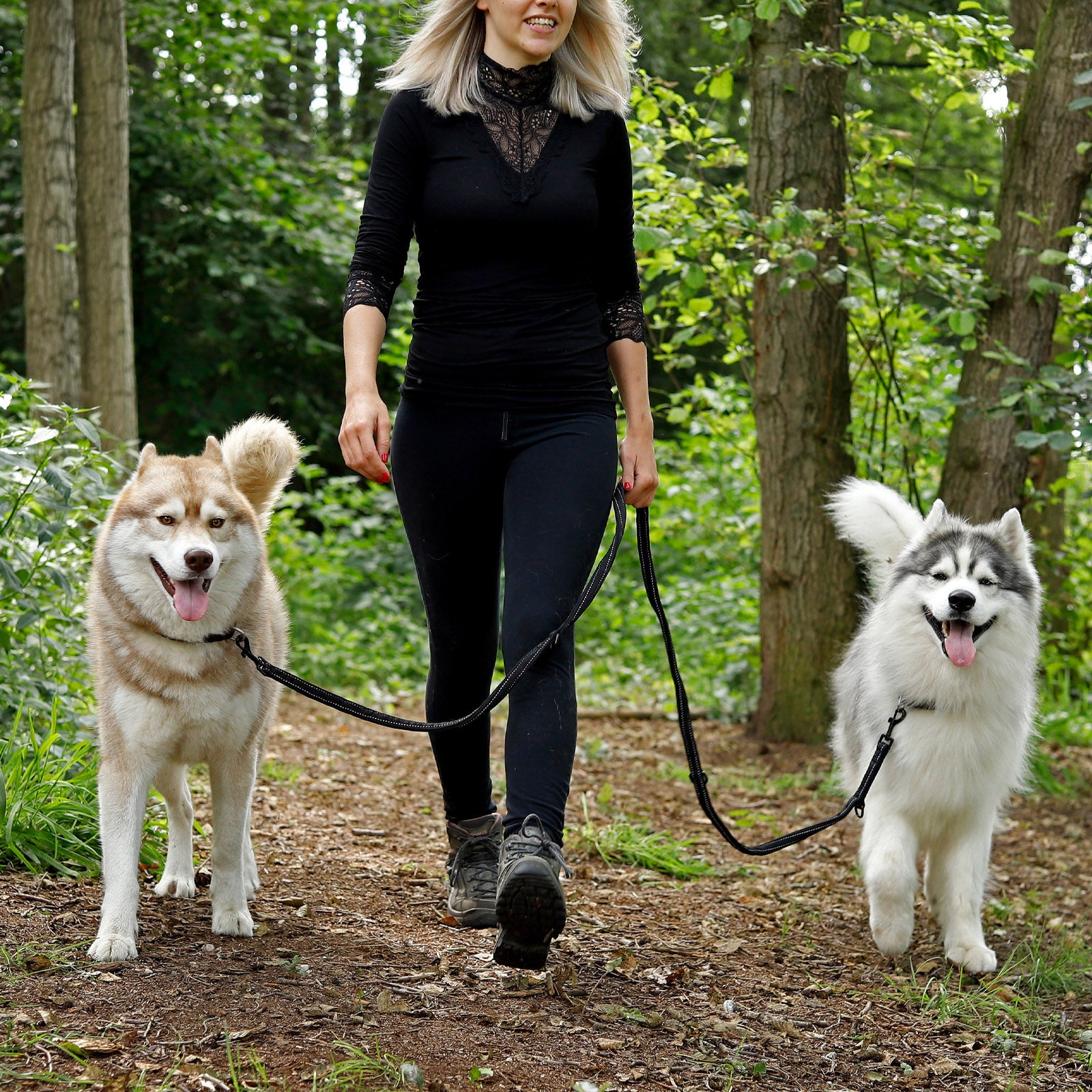 Lionto Hunde-Spaziergang guinzaglio cane 200 cm nero riflettente