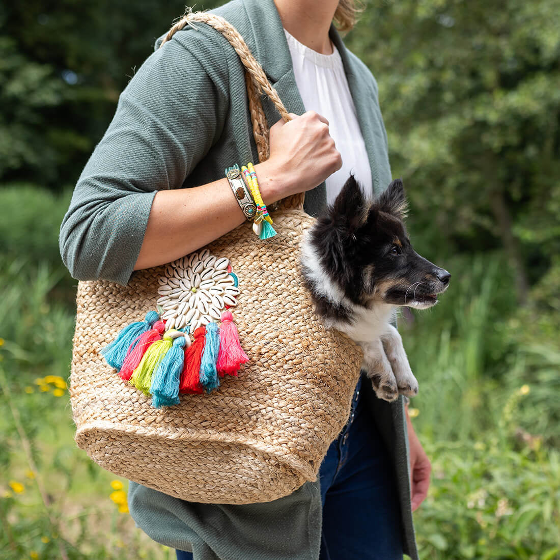 Dog with a Mission Woodstock Borsa Cane 3 kg Spiaggia
