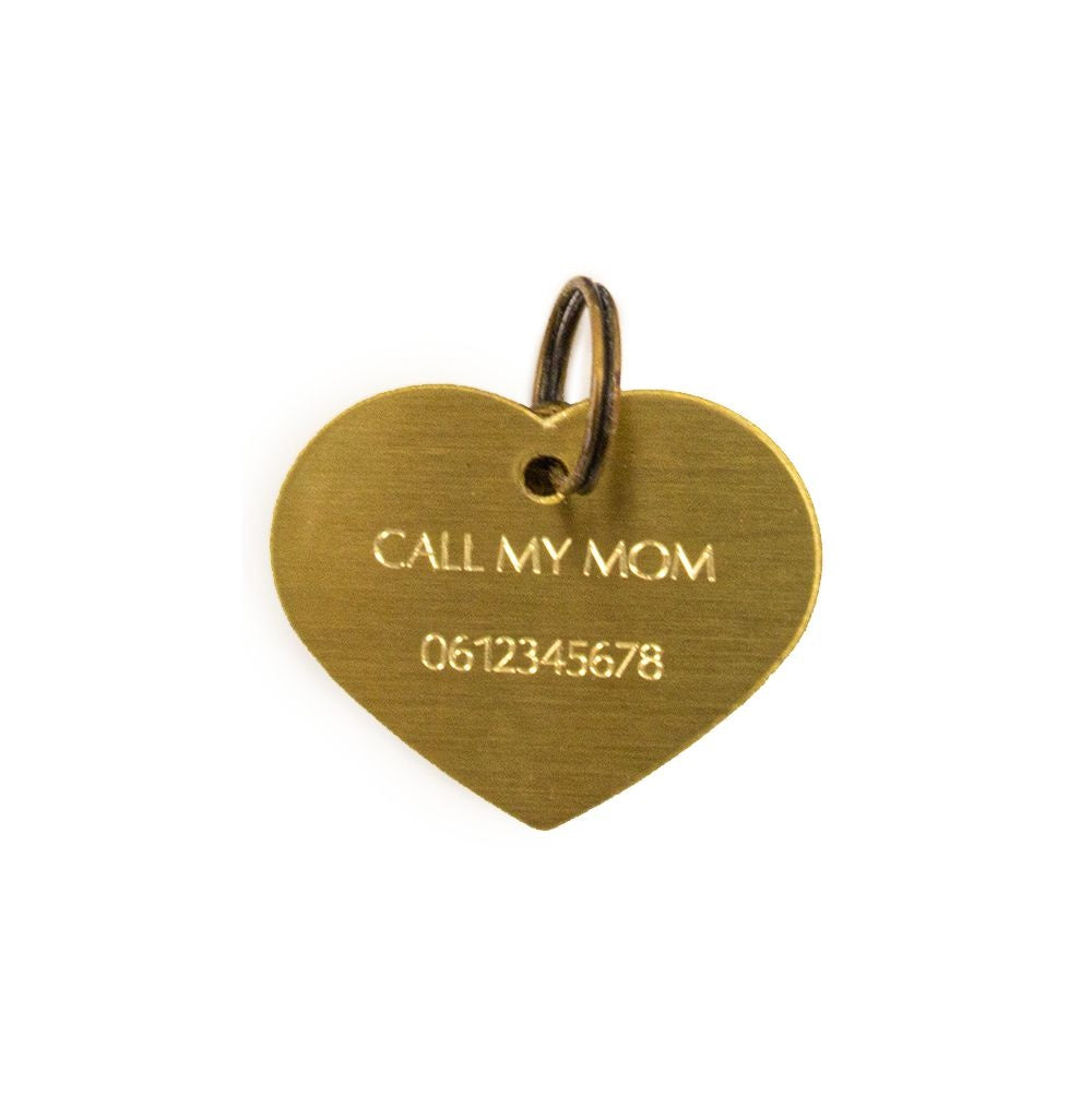 Dog with a Mission Medaglietta Cane Cuore Oro L Personalizzata Nome