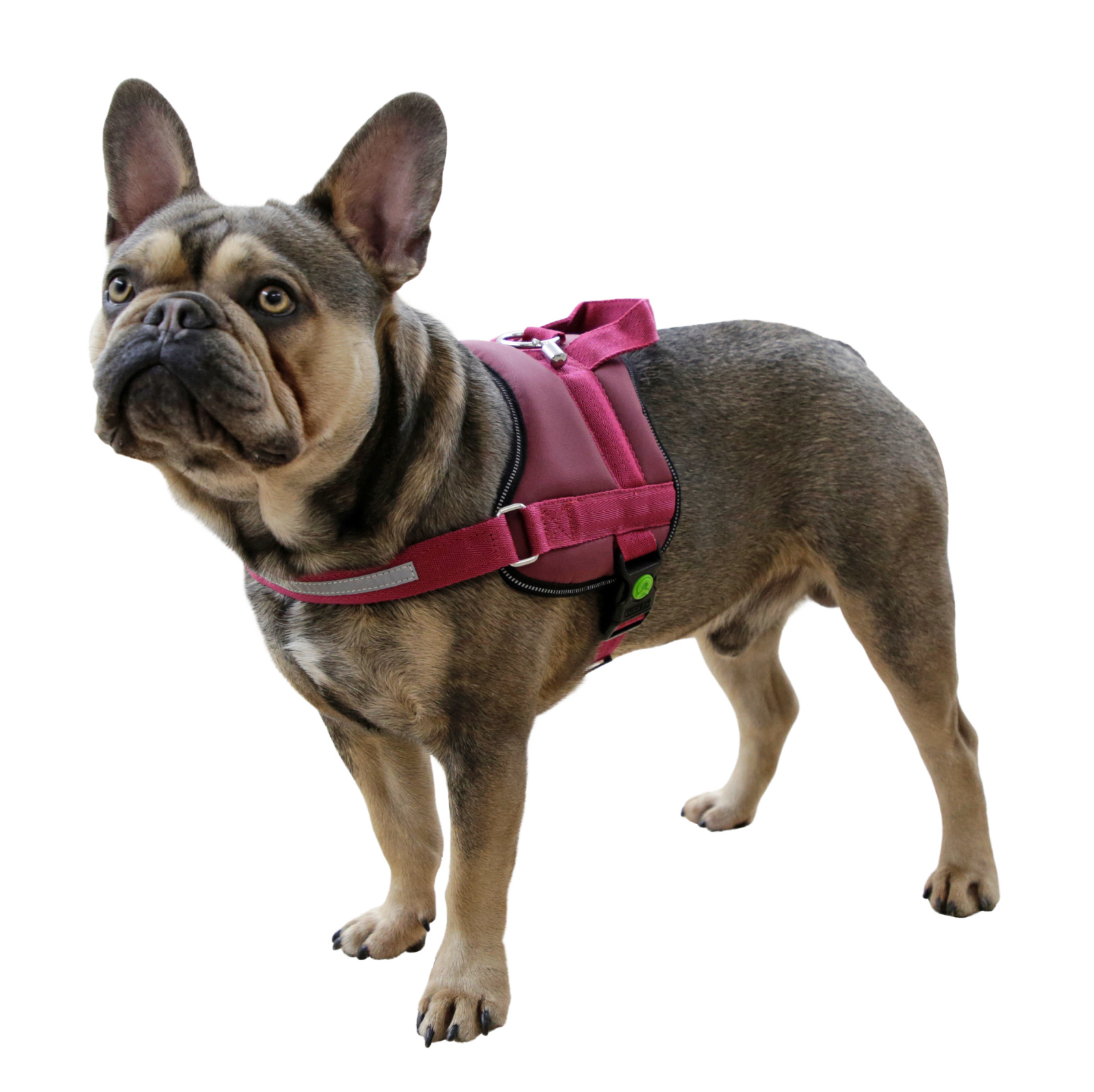 Kerbl Maestro 2.0 pettorina cane regolabile riflettente