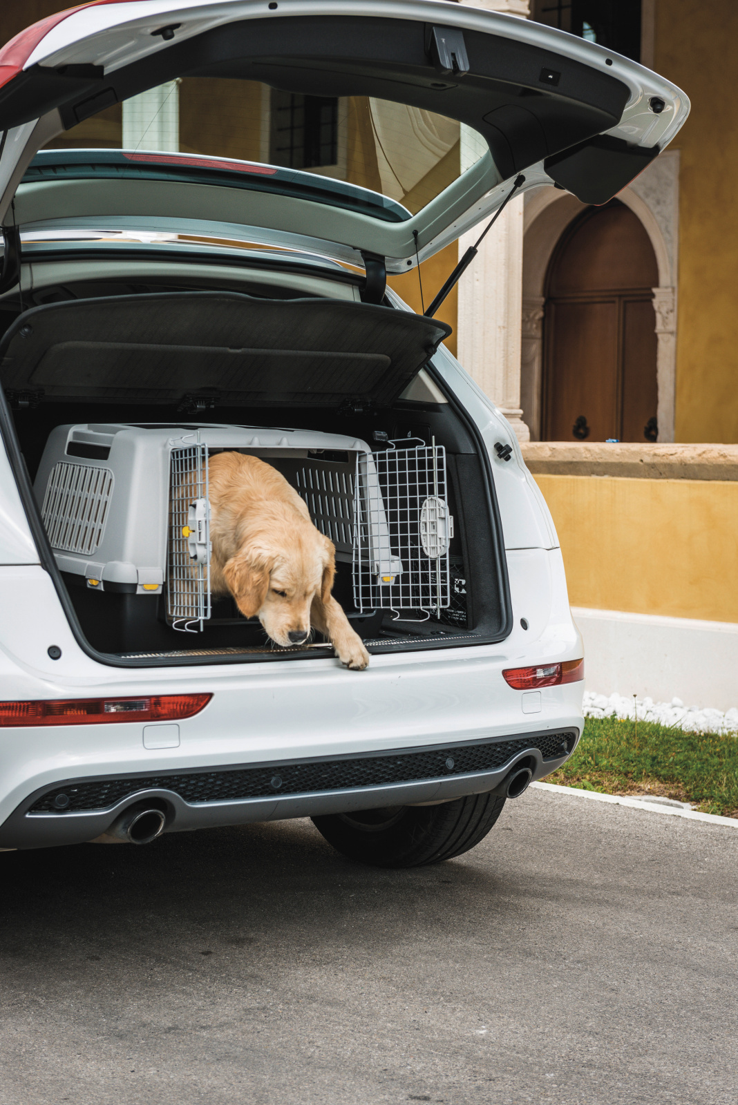Kerbl Dog Transport Gulliver Touring trasportino porta metallo