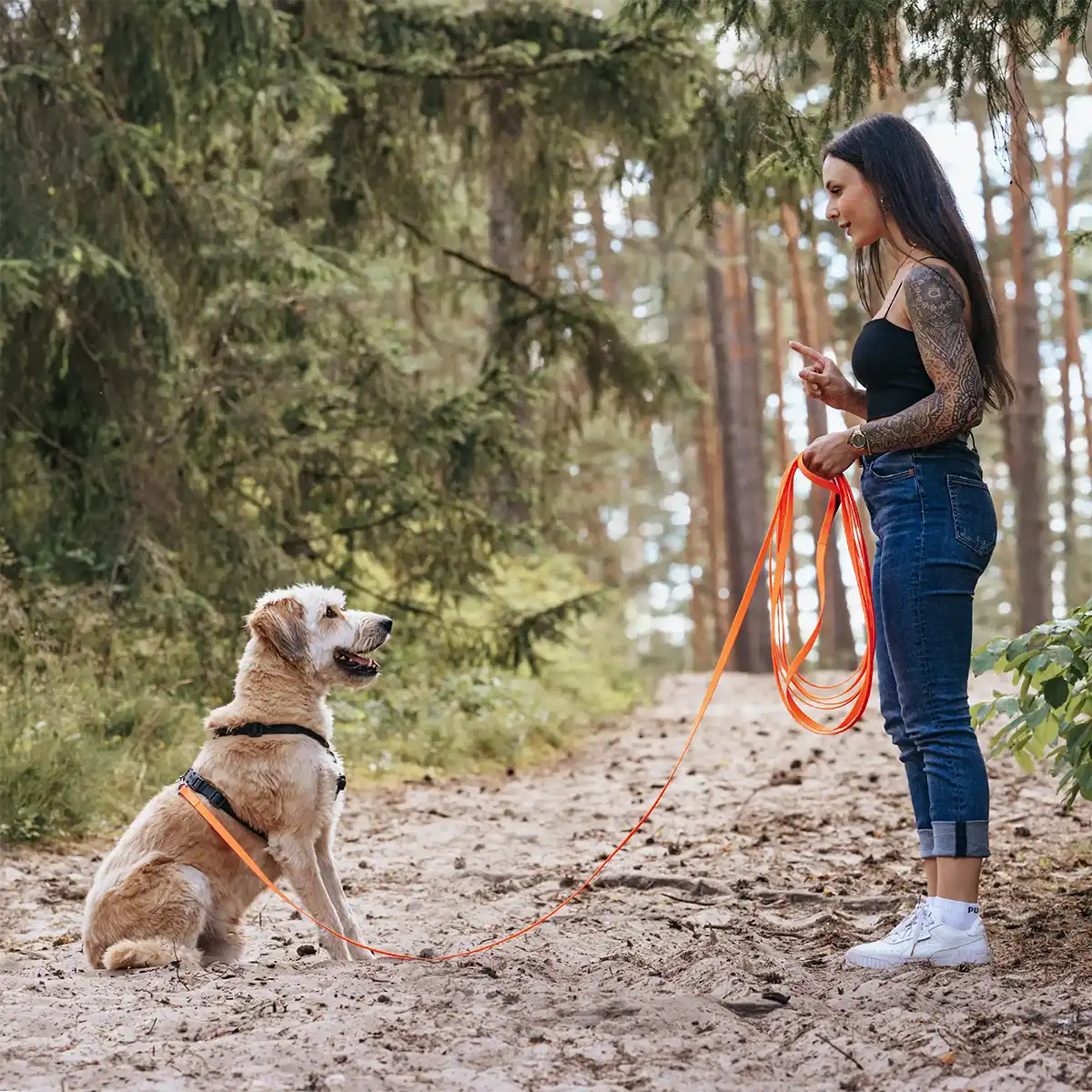 Rudelkönig Hundeleinen Schleppleine guinzaglio 5m arancione
