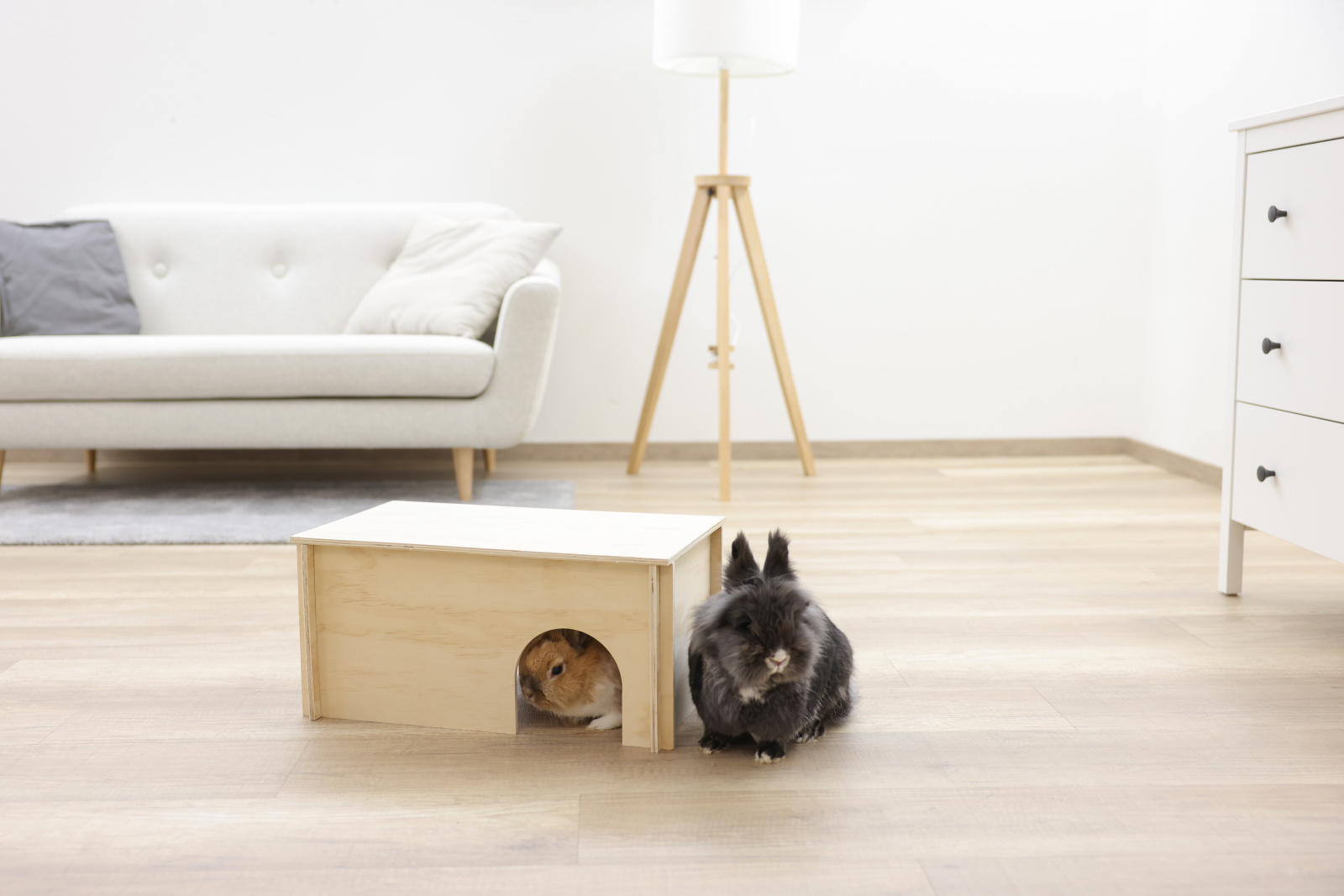 Kerbl Pet Rodent Cabin Natural casetta roditori legno