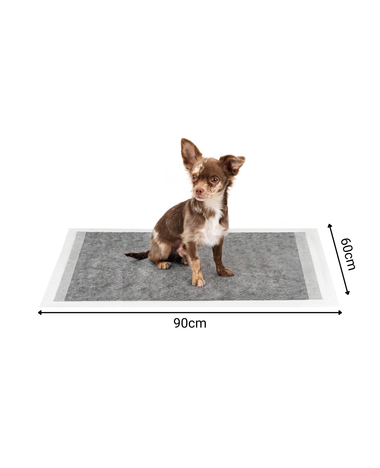 Lionto Hunde-Welpenausstattung traversina igienica 60x60 cm 50 pezzi carbone