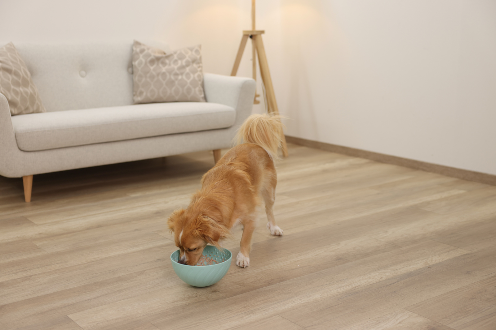 Kerbl Pet Lick Bowl ciotola leccare cane gatto freezer
