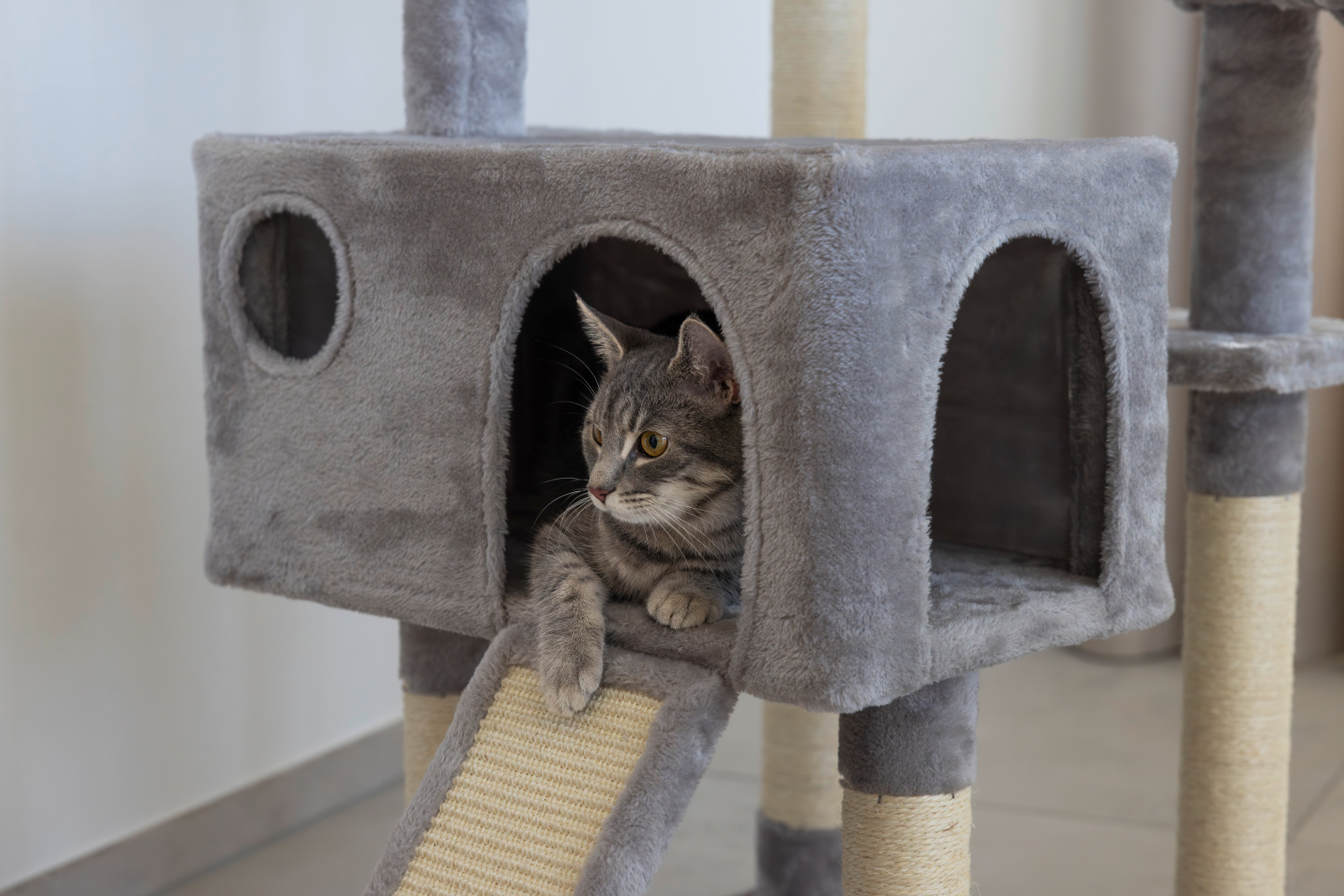 Kerbl Pet Levi tiragraffi gatto due cucce grotta sisal