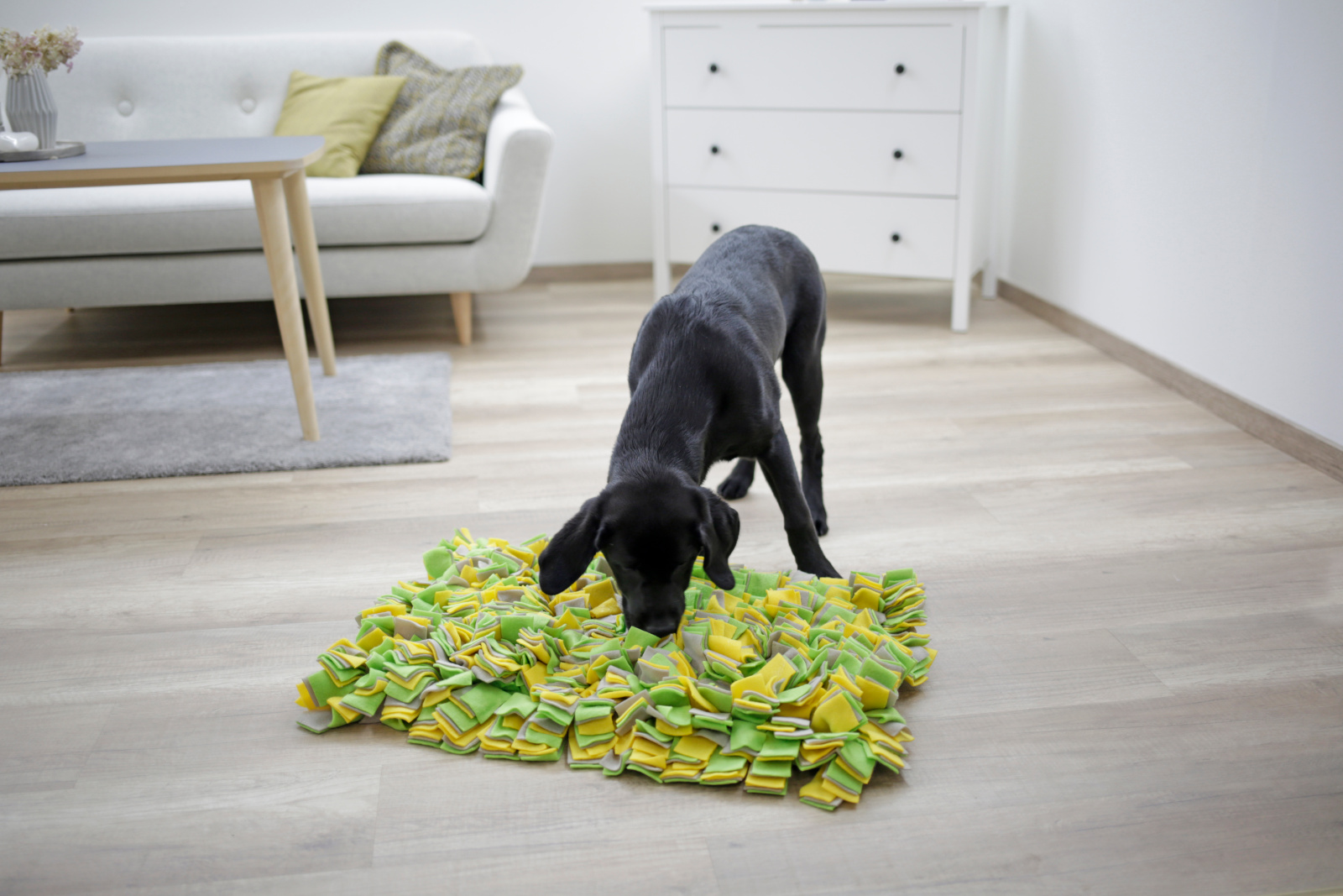 Kerbl Pet Sniff Rug Tappetino Olfattivo 50x30 cm Pile