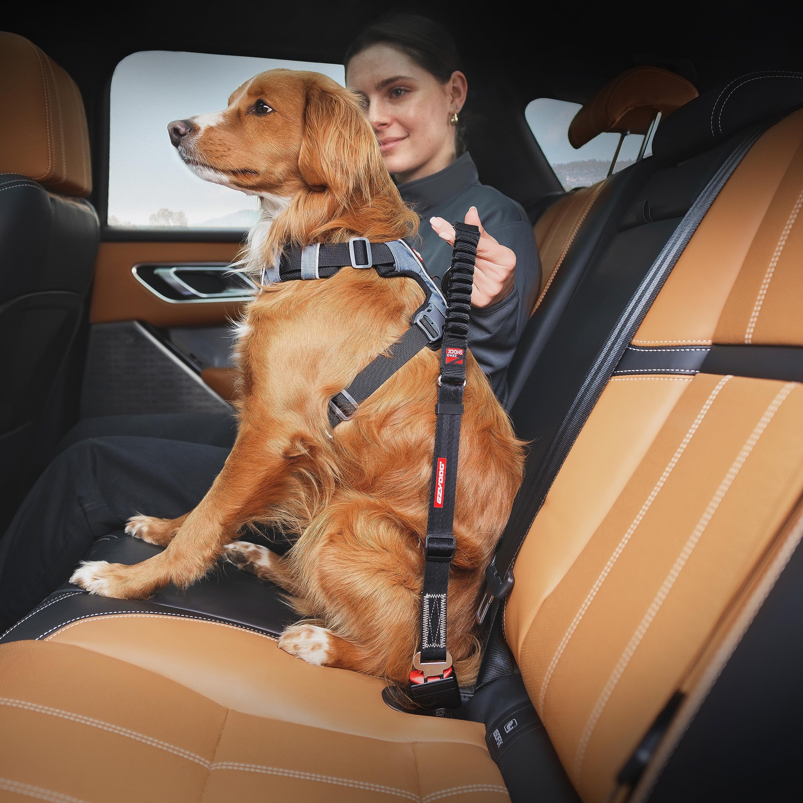 EzyDog Zero Shock cintura auto per cani 52-66 cm nero