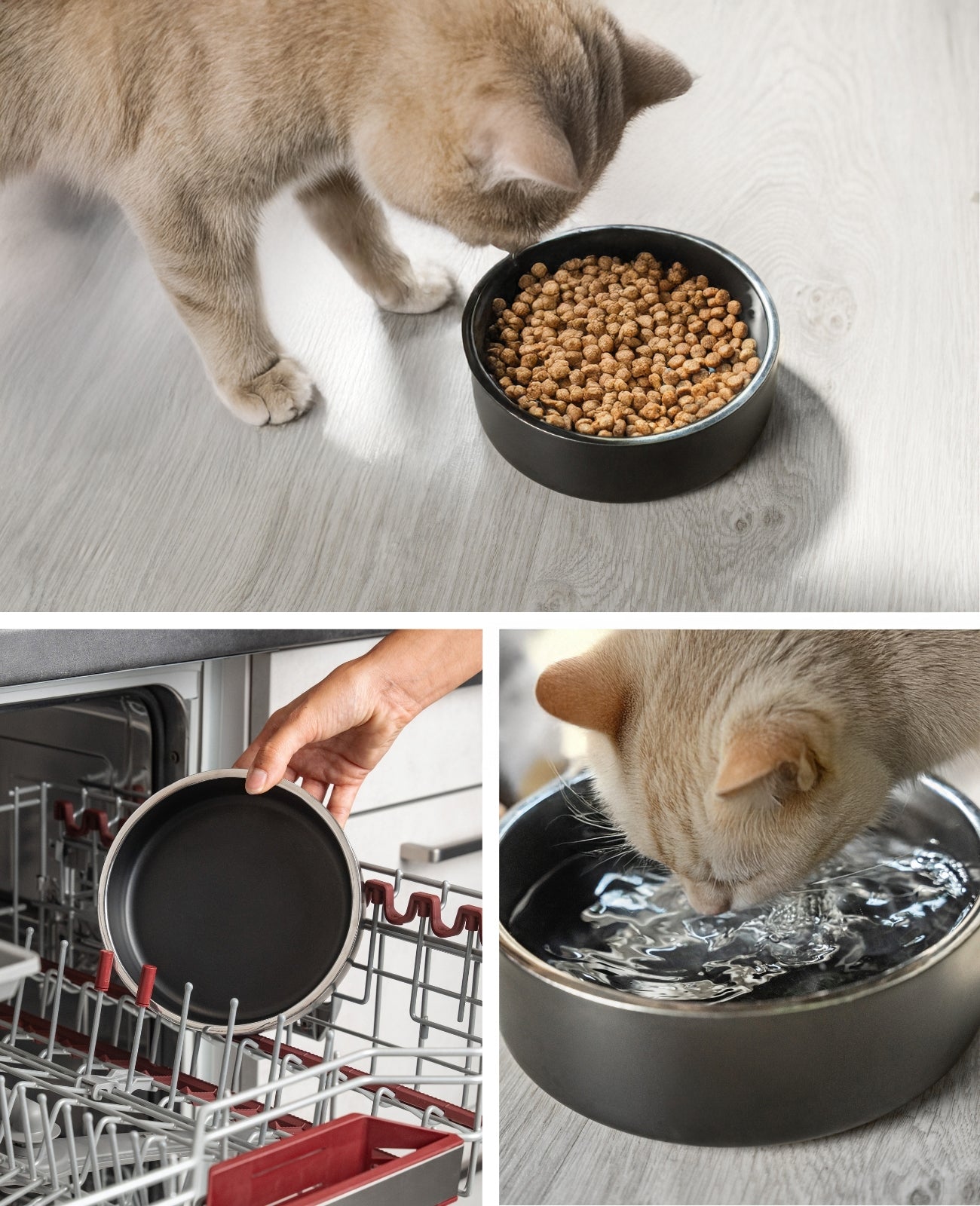 Lionto Katzennapf ciotola per gatti acciaio inox antiscivolo