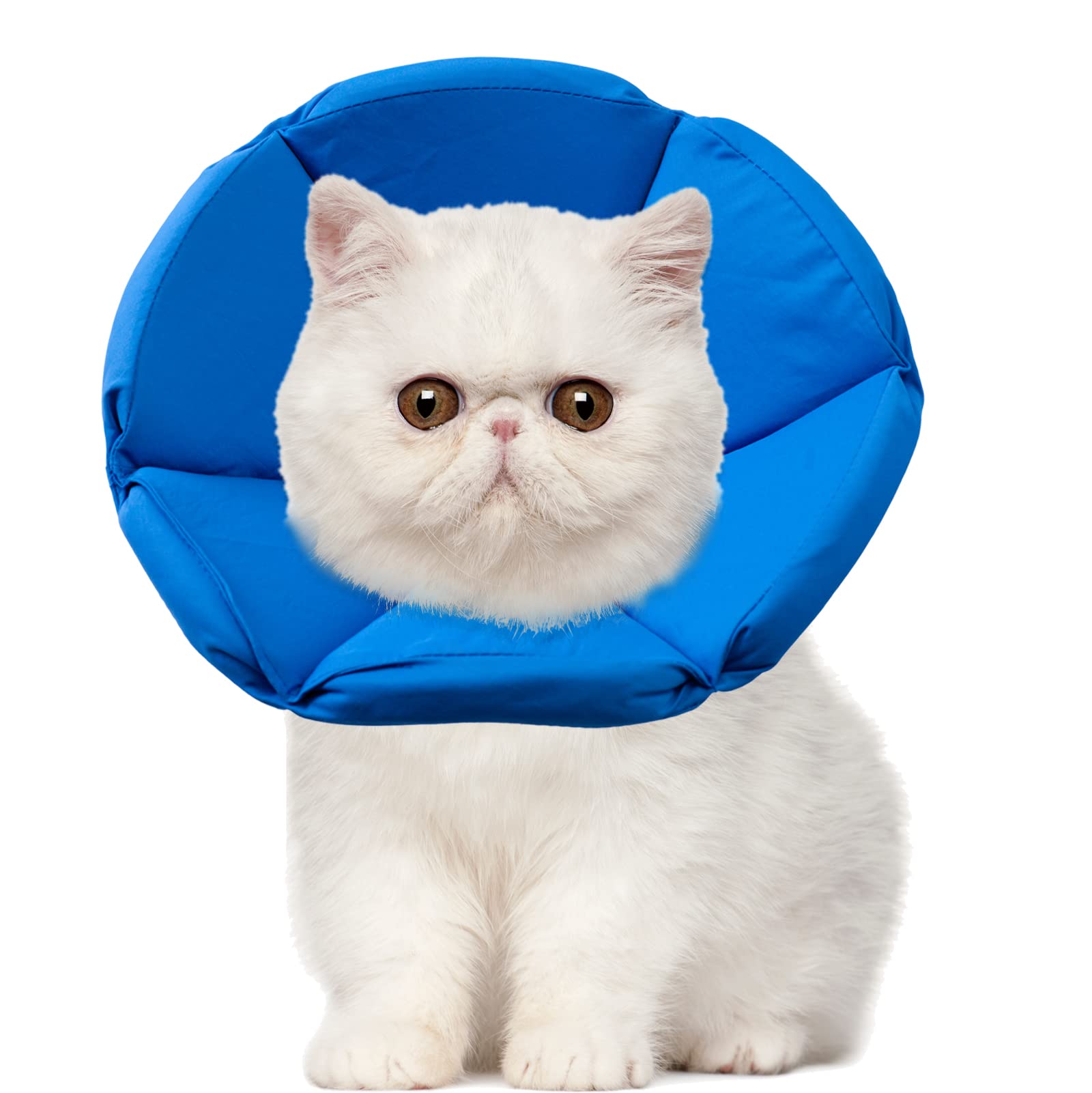 OHCOZZY Collare Elisabettiano Gatto M Blu Morbido