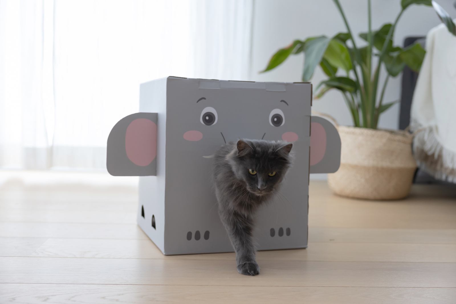 Kerbl Cat Scratch Elefant tiragraffi cartone casetta gatto leggera