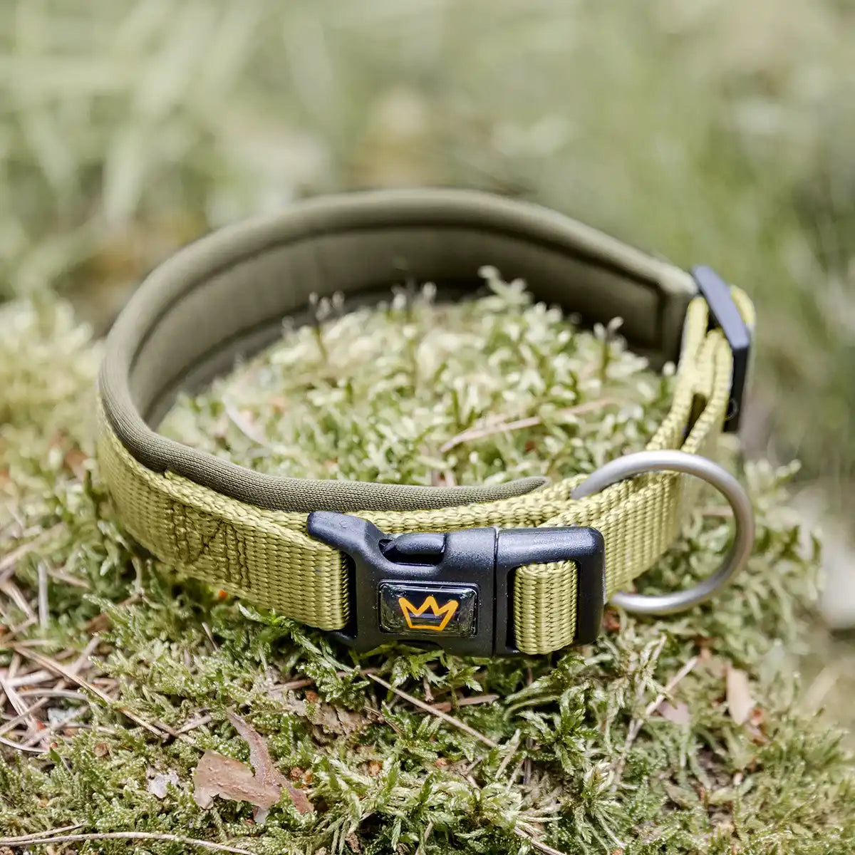 Rudelkönig Bella collare cane regolabile khaki