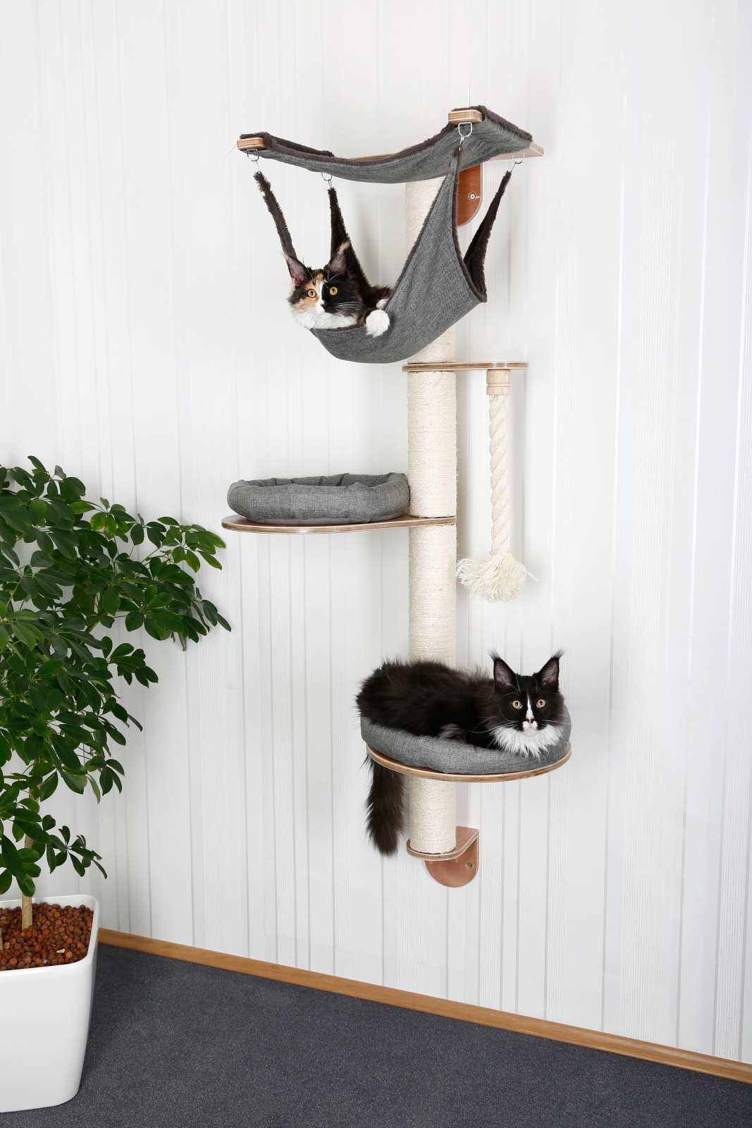 Kerbl Pet Dolomit 2.0 Tofana tiragraffi parete sisal amaca