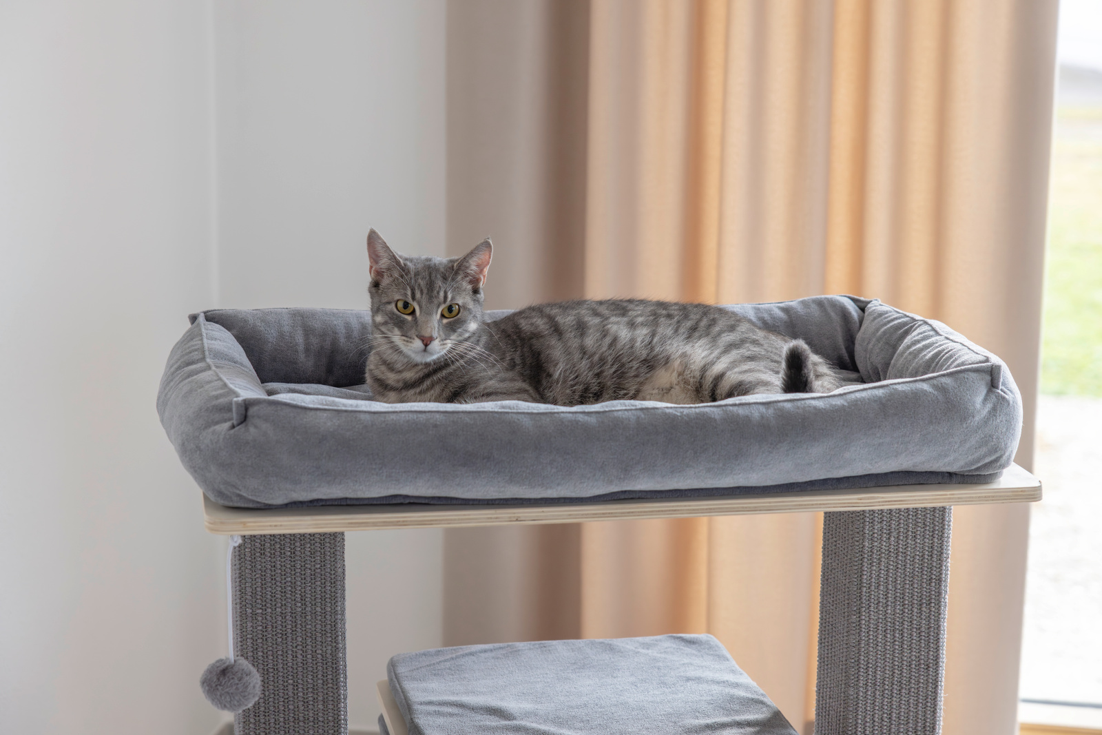 Kerbl Pet Noah III albero tiragraffi gatto con cuccia